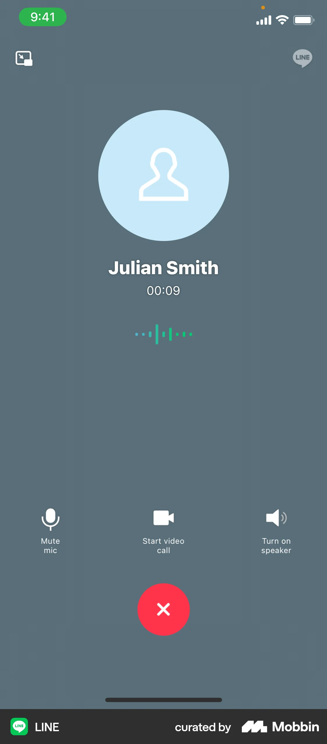 LINE iOS Call screen