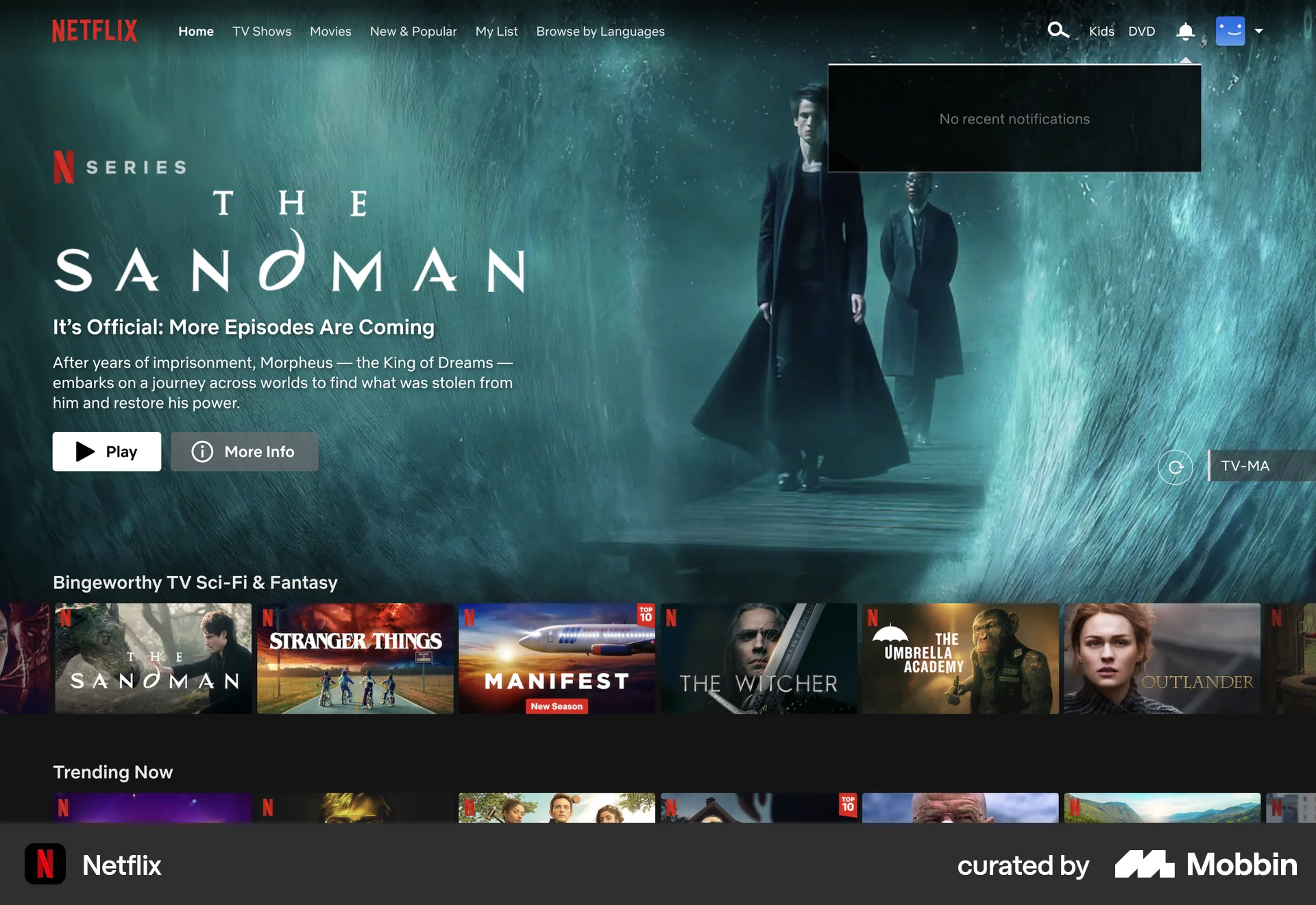 Netflix Web Notifications screen