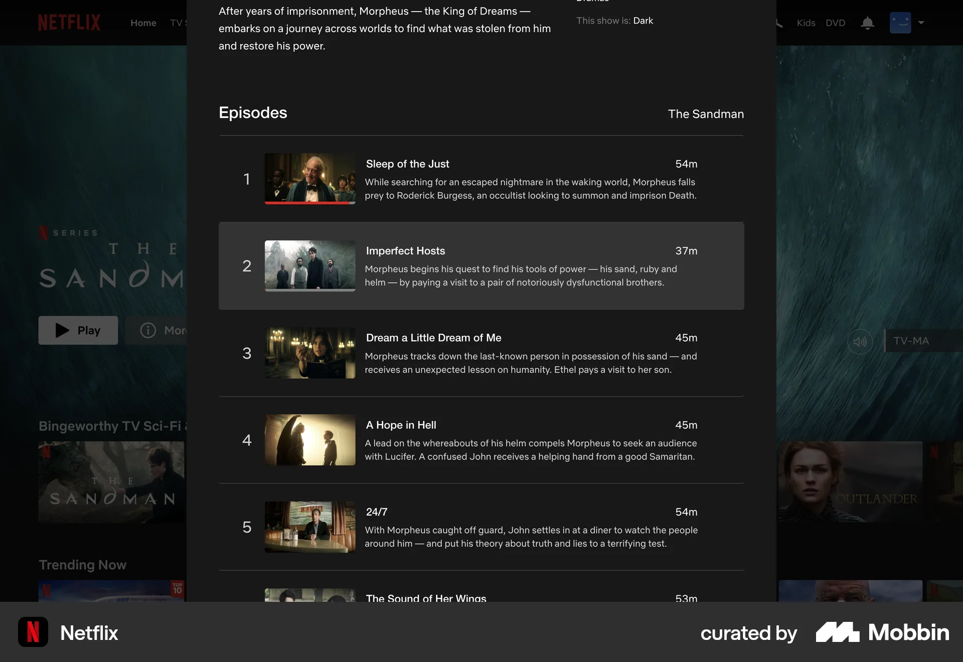 Netflix Web TV Show & Movie Detail screen