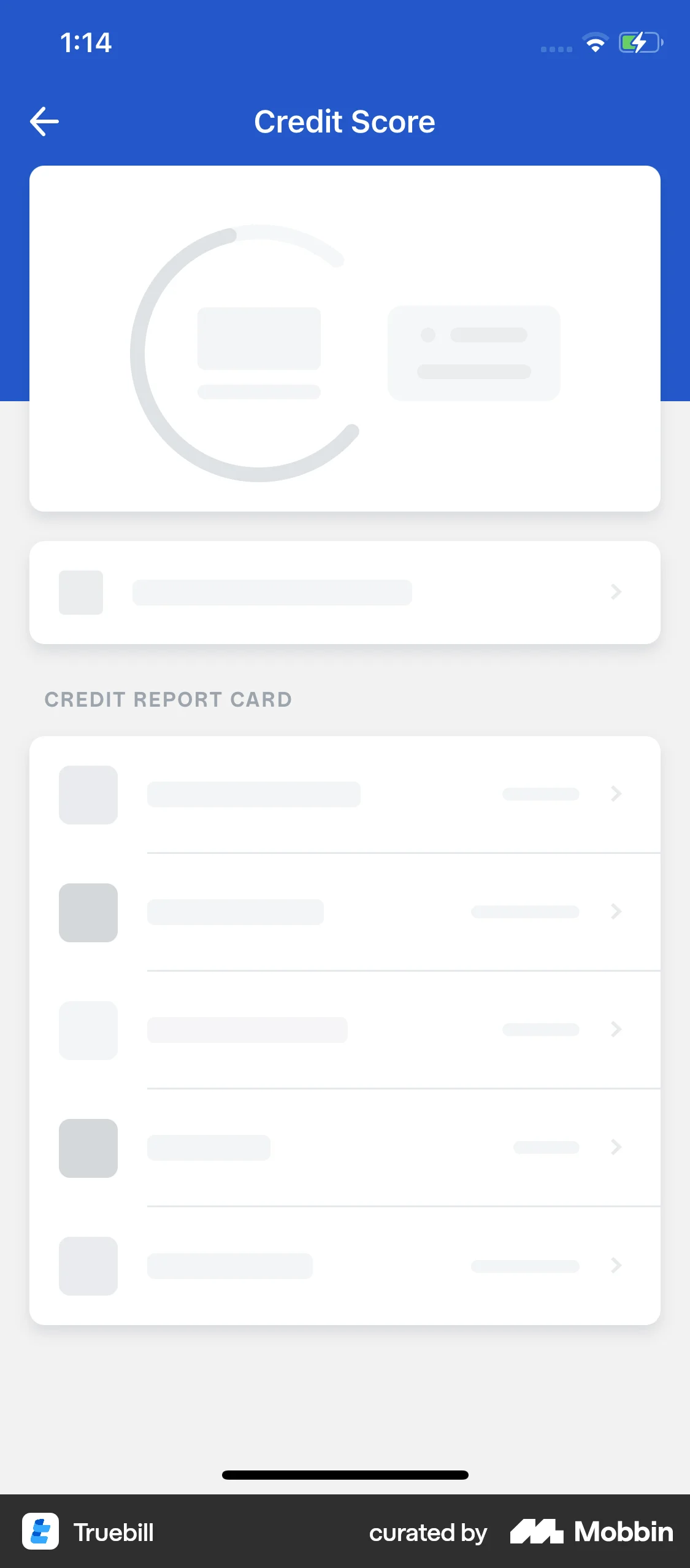 Truebill iOS screen containing Skeleton UI element