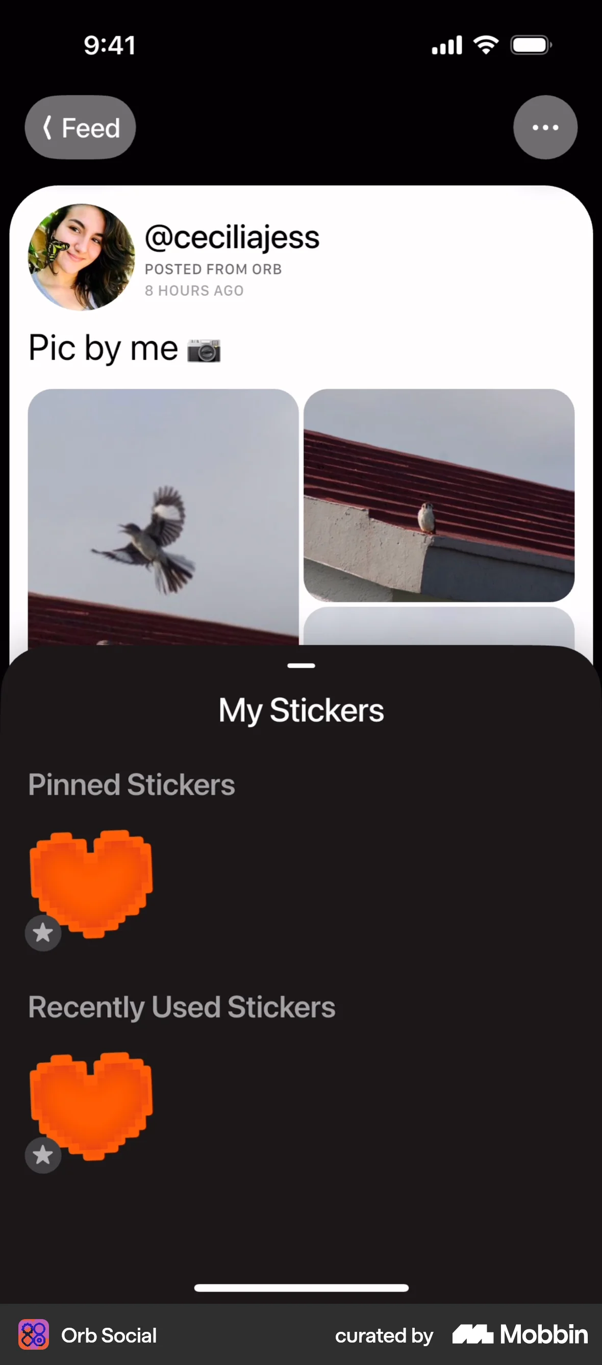 Orb Social iOS Filters & Stickers screen