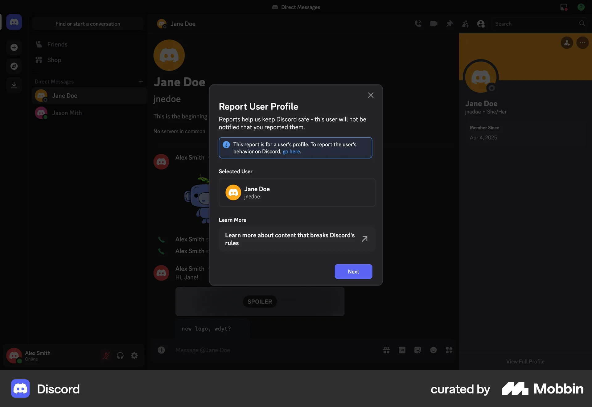 Discord Web Flag & Report screen