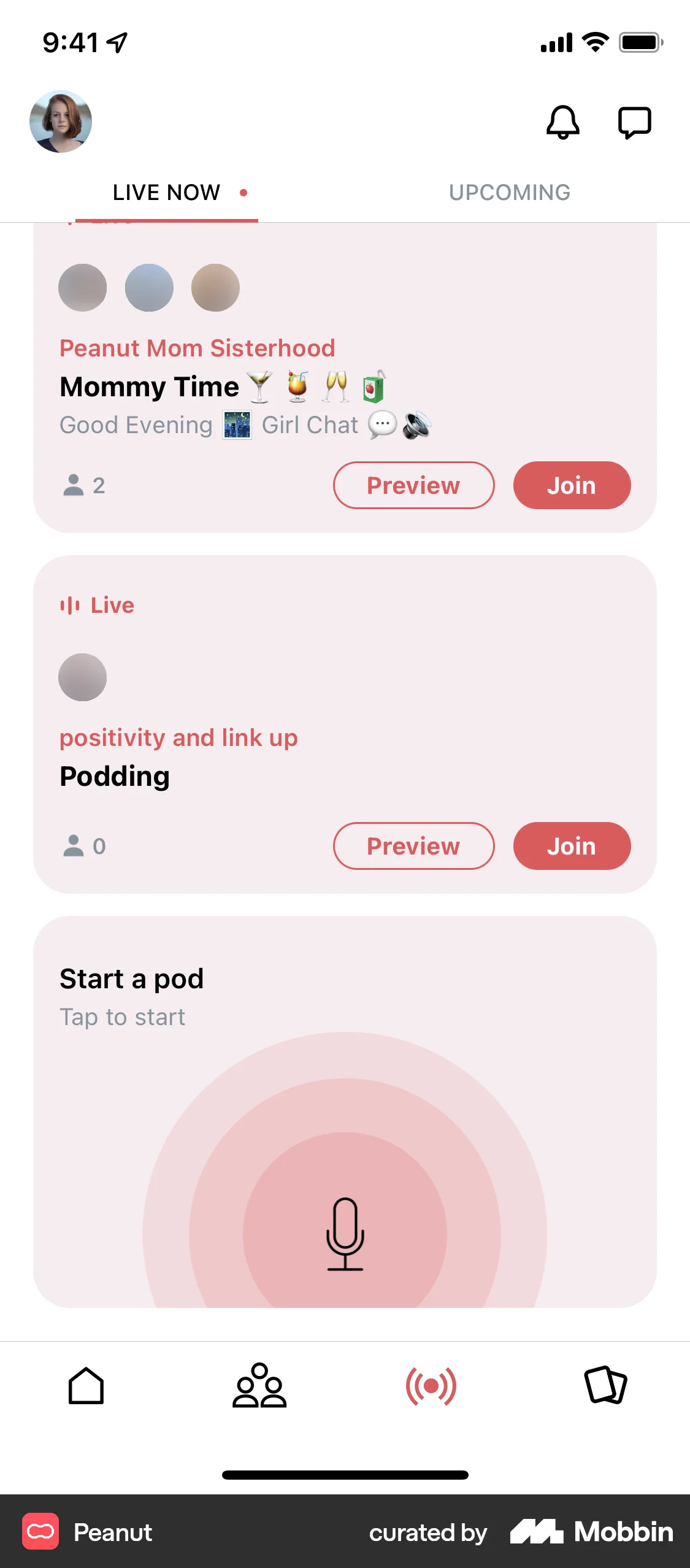 Peanut iOS Song & Podcast Detail screen