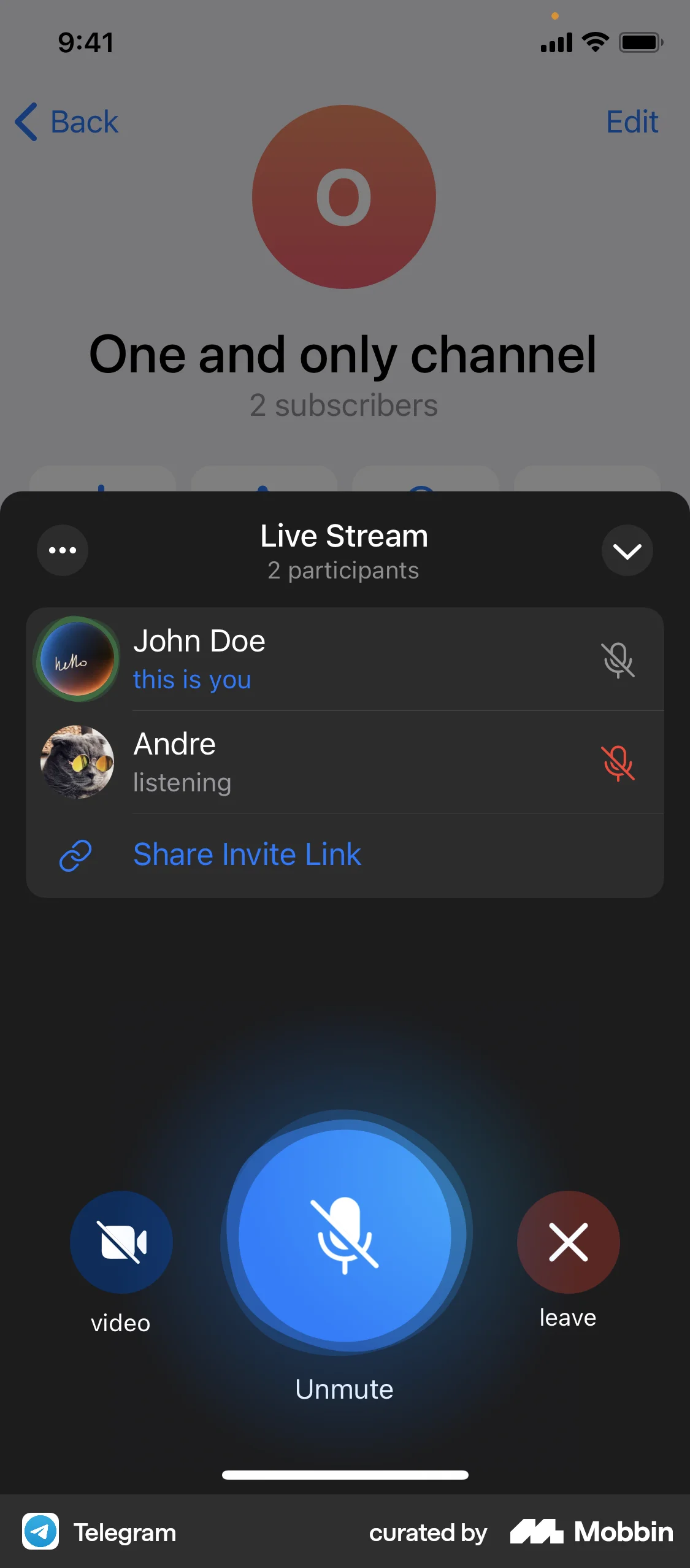 Telegram iOS Call screen