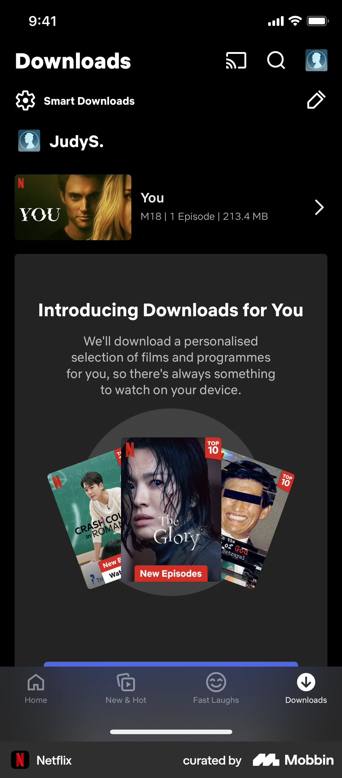 Netflix iOS Downloads & Available Offline screen