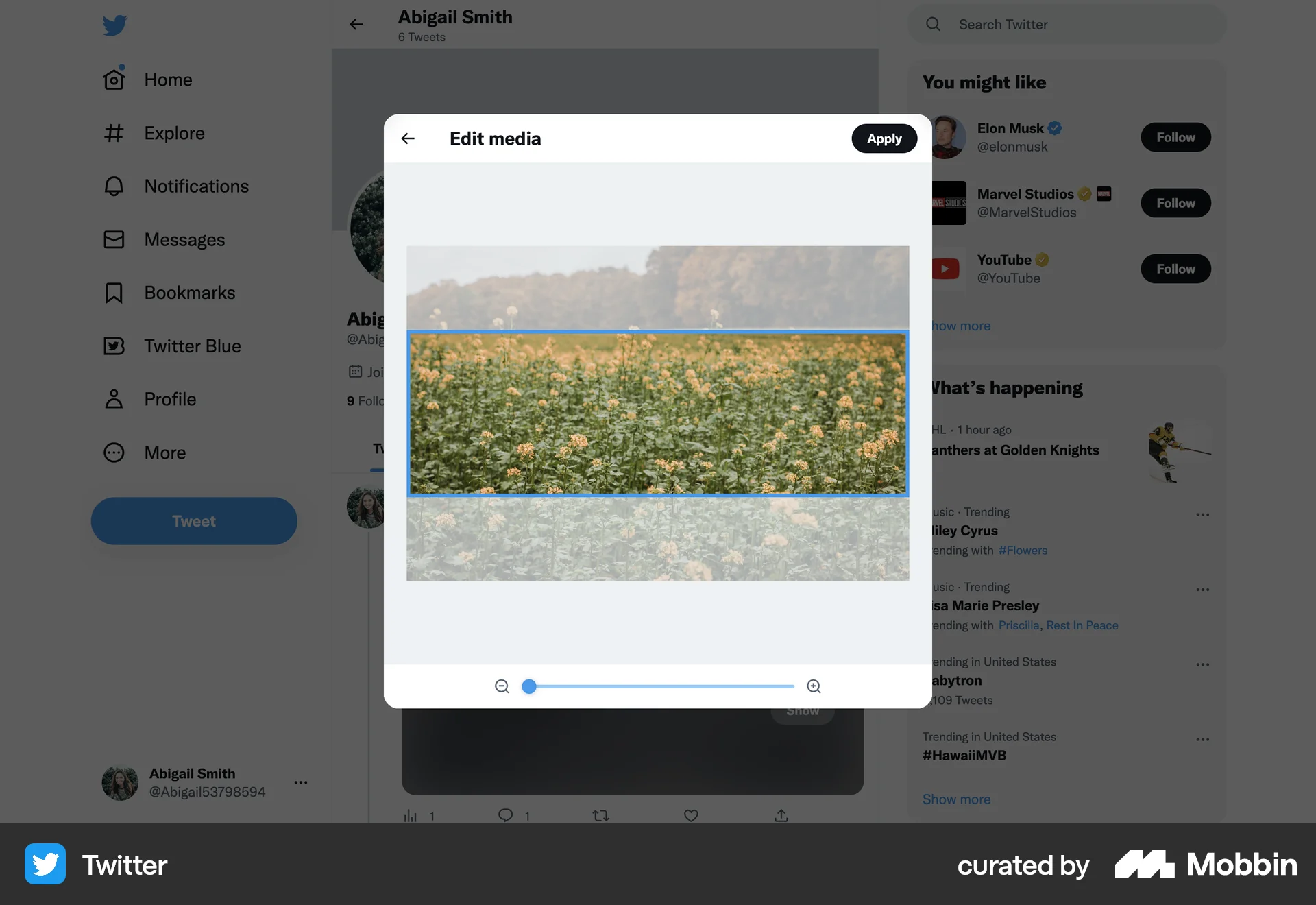 X Web Media Editor screen