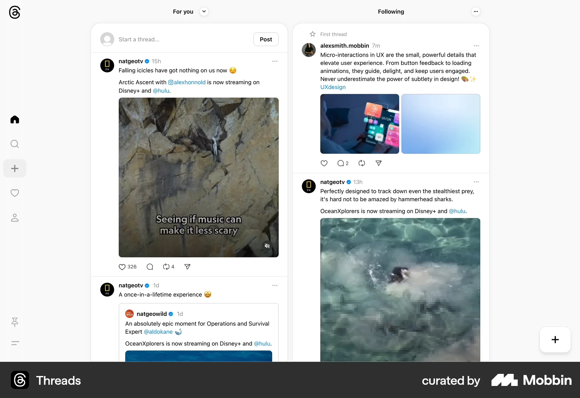 Threads Web Social Feed screen