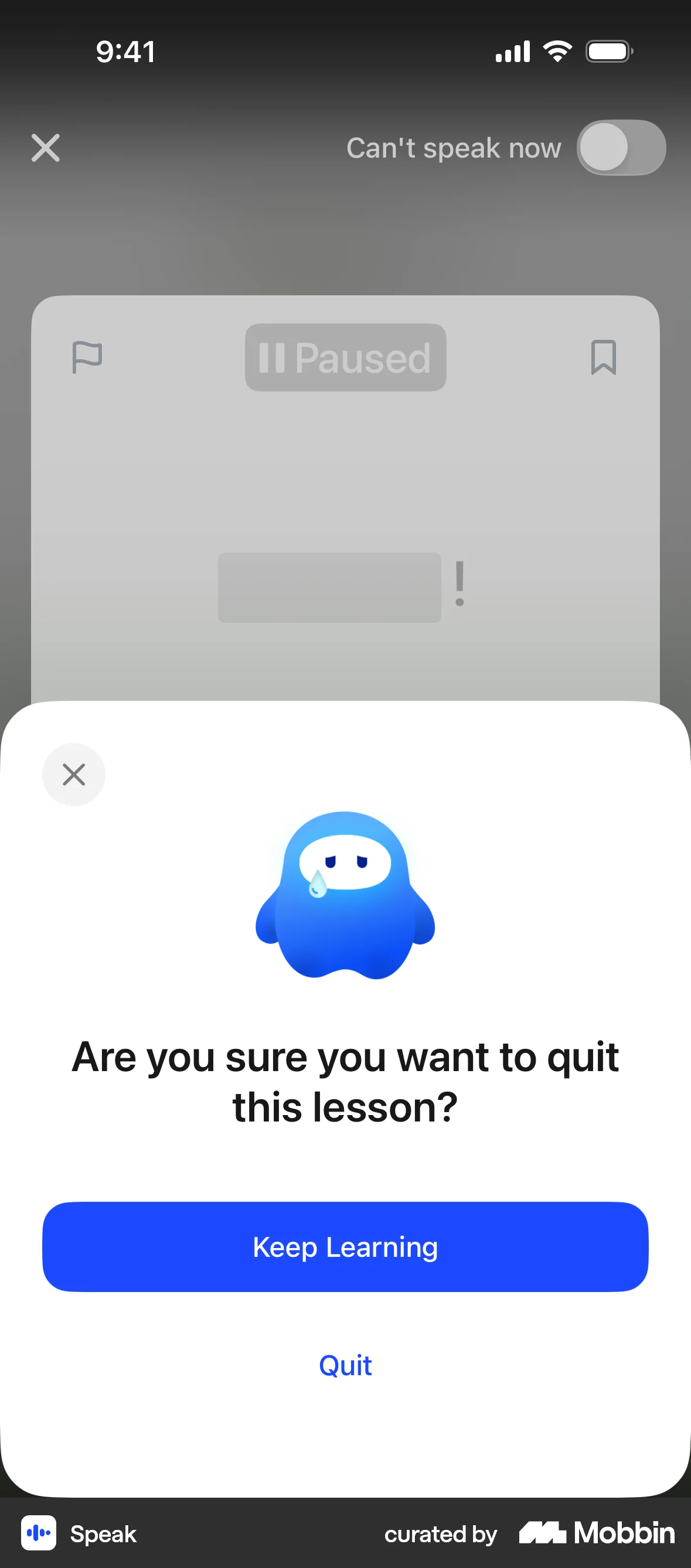 Speak iOS Confirmation screen