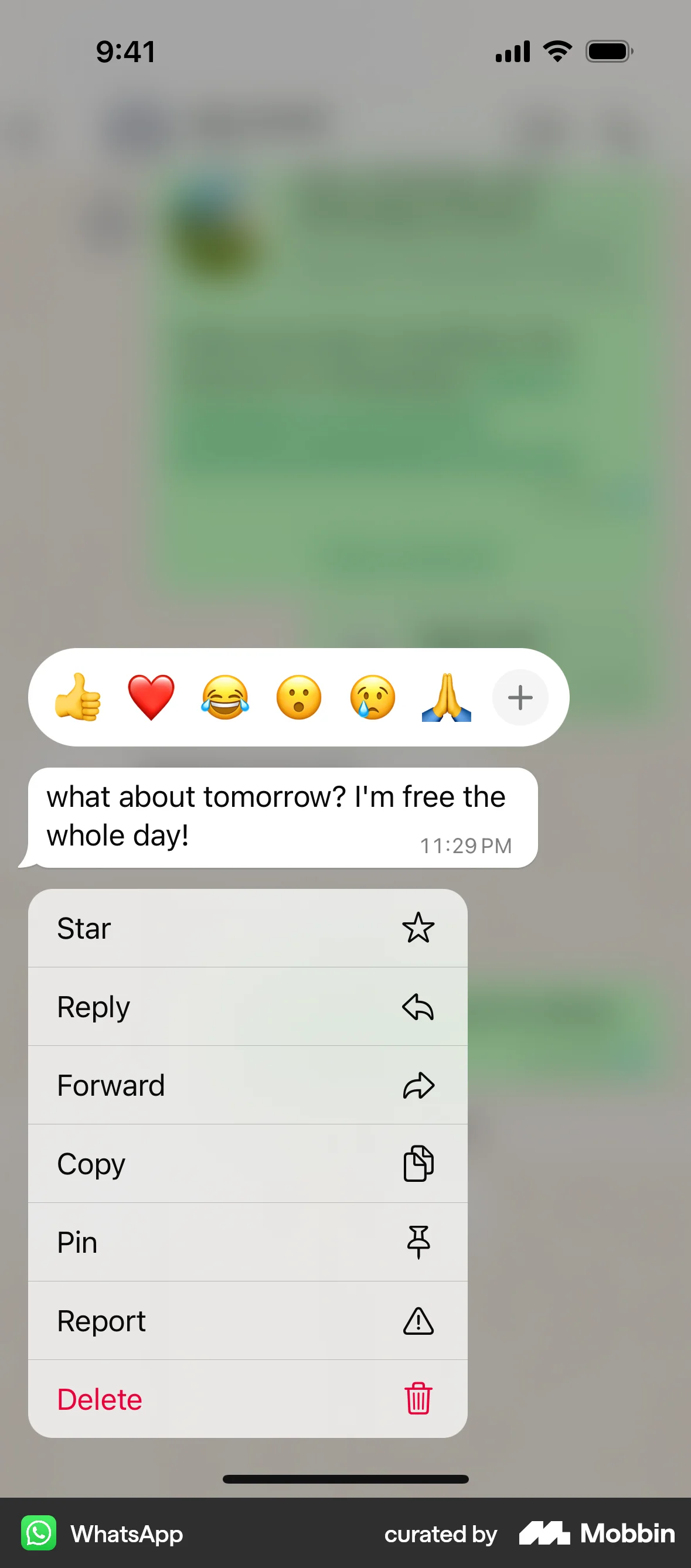WhatsApp iOS Communication App screen