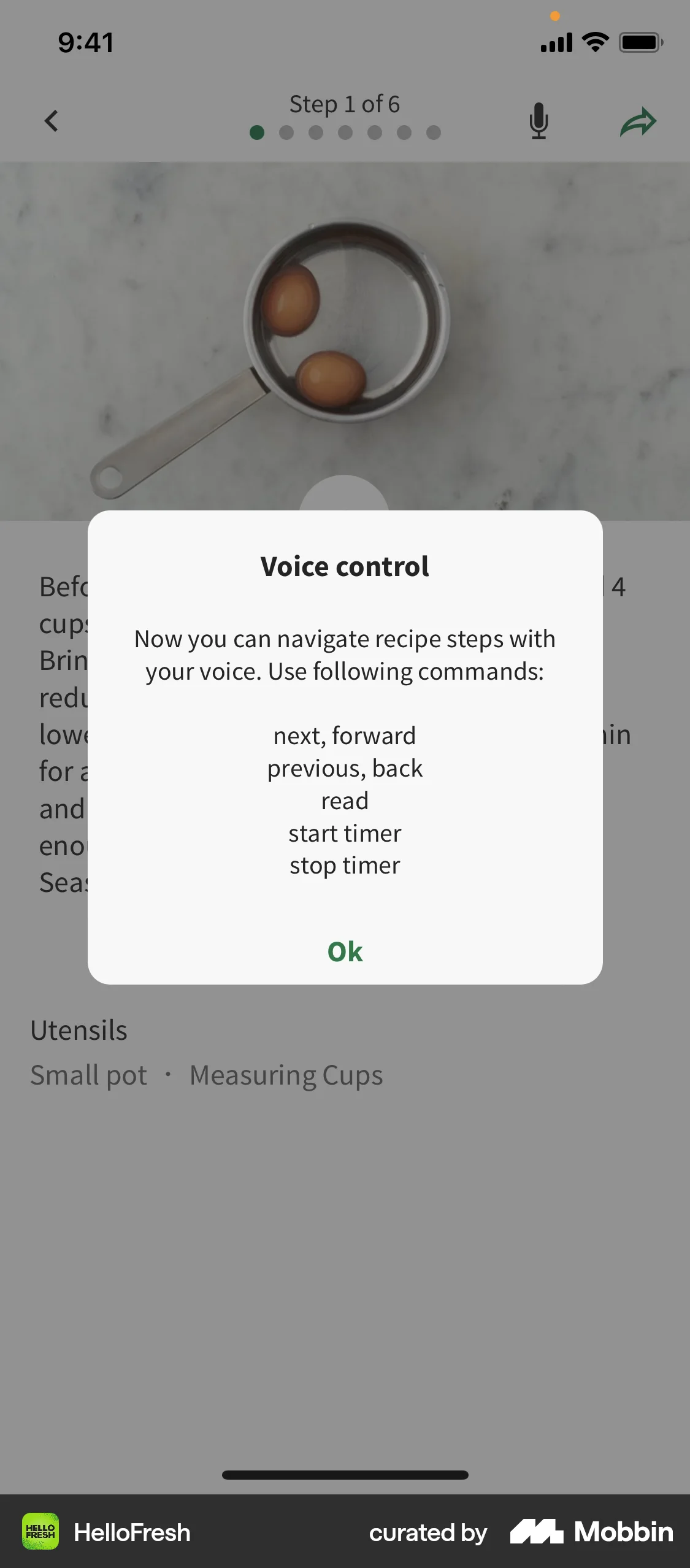 HelloFresh iOS Voice UI screen