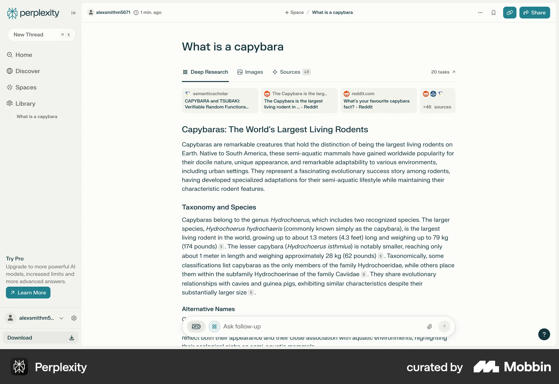 Perplexity Web Chat Detail screen