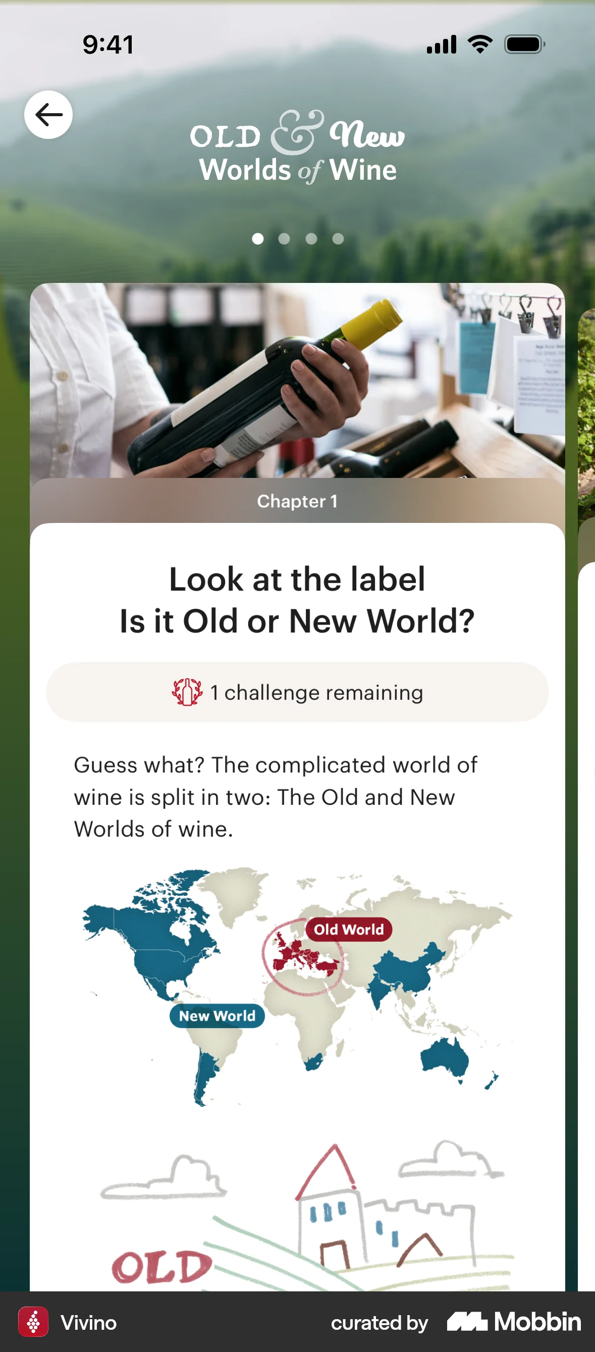 Vivino iOS screen containing Carousel UI element