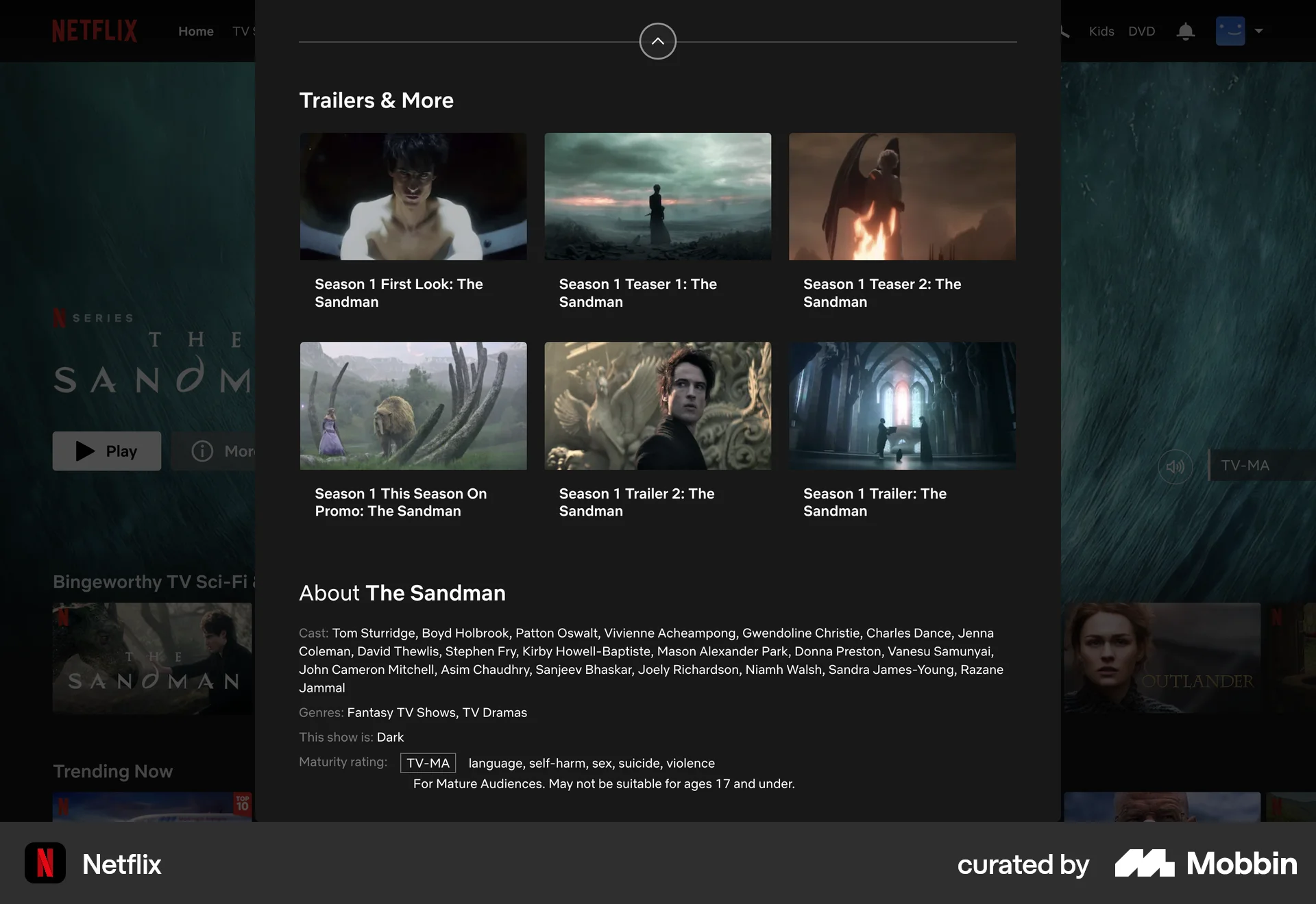 Netflix Web TV Show & Movie Detail screen