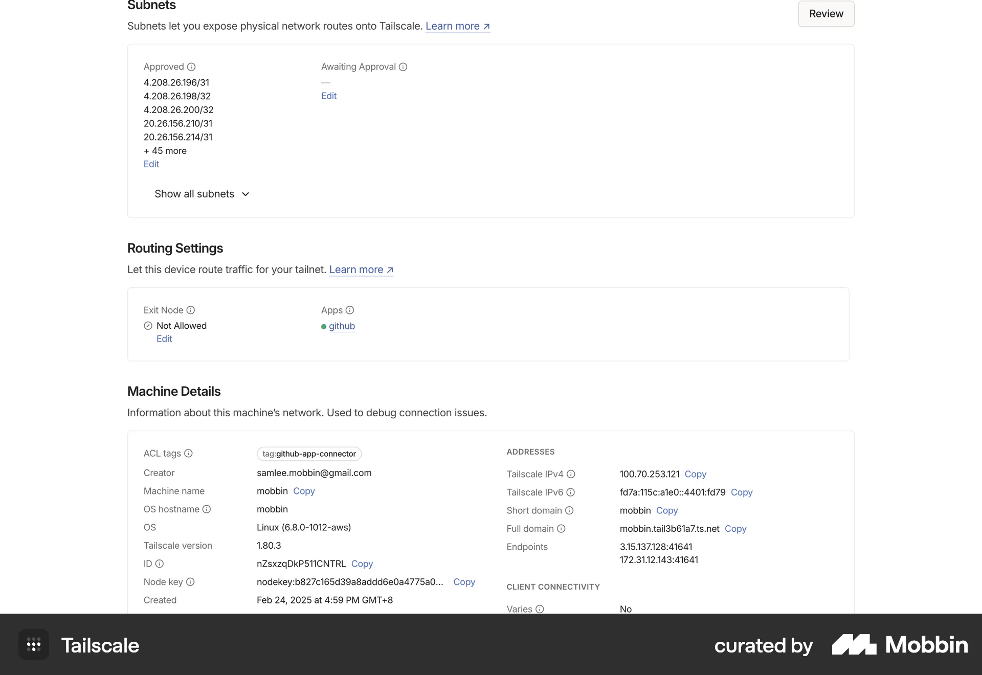 Tailscale Web Utilities App screen