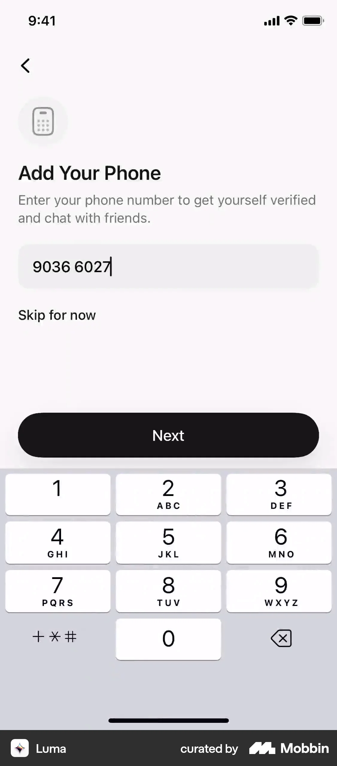 Luma iOS Verification screen