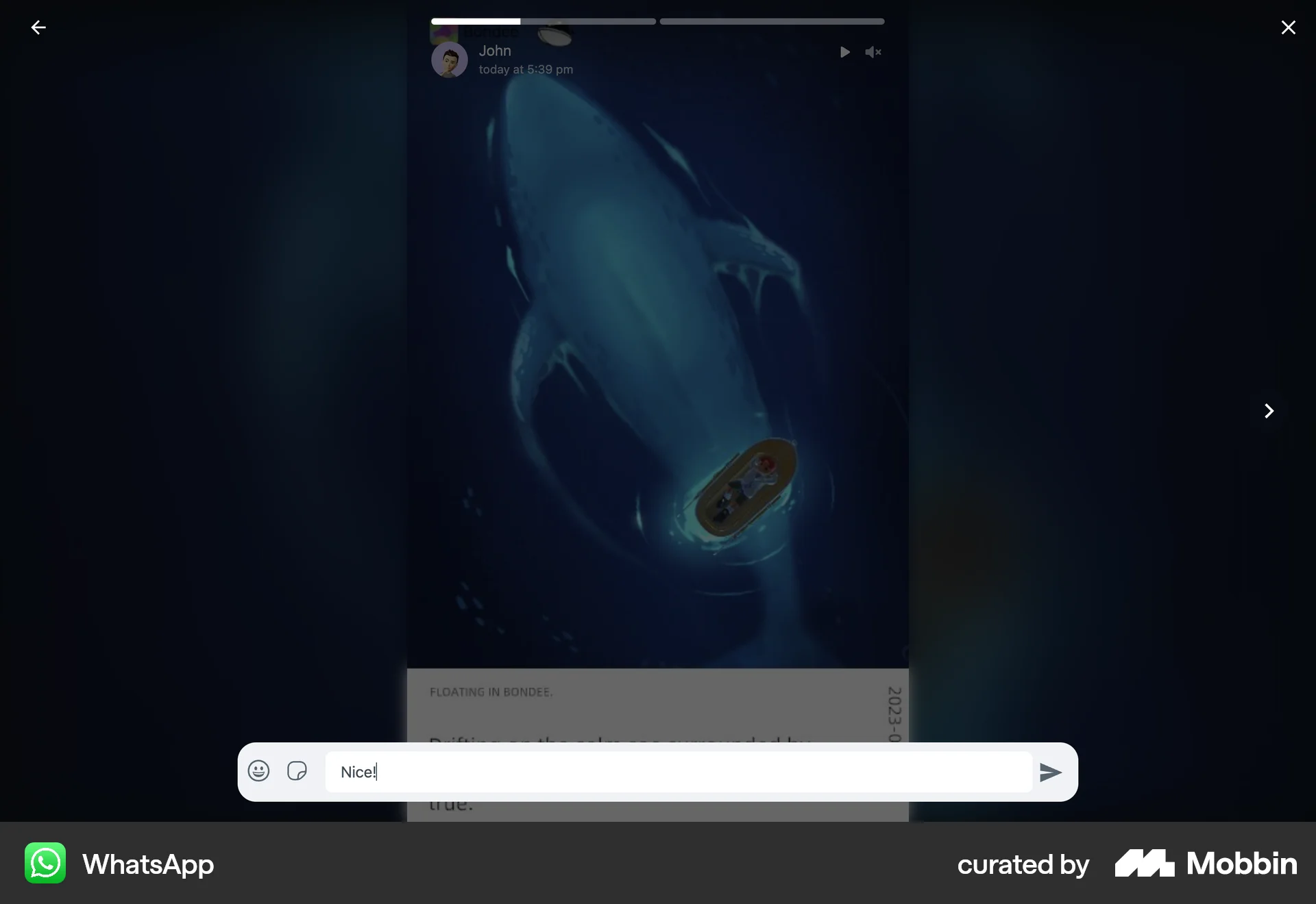 WhatsApp Web Comments screen