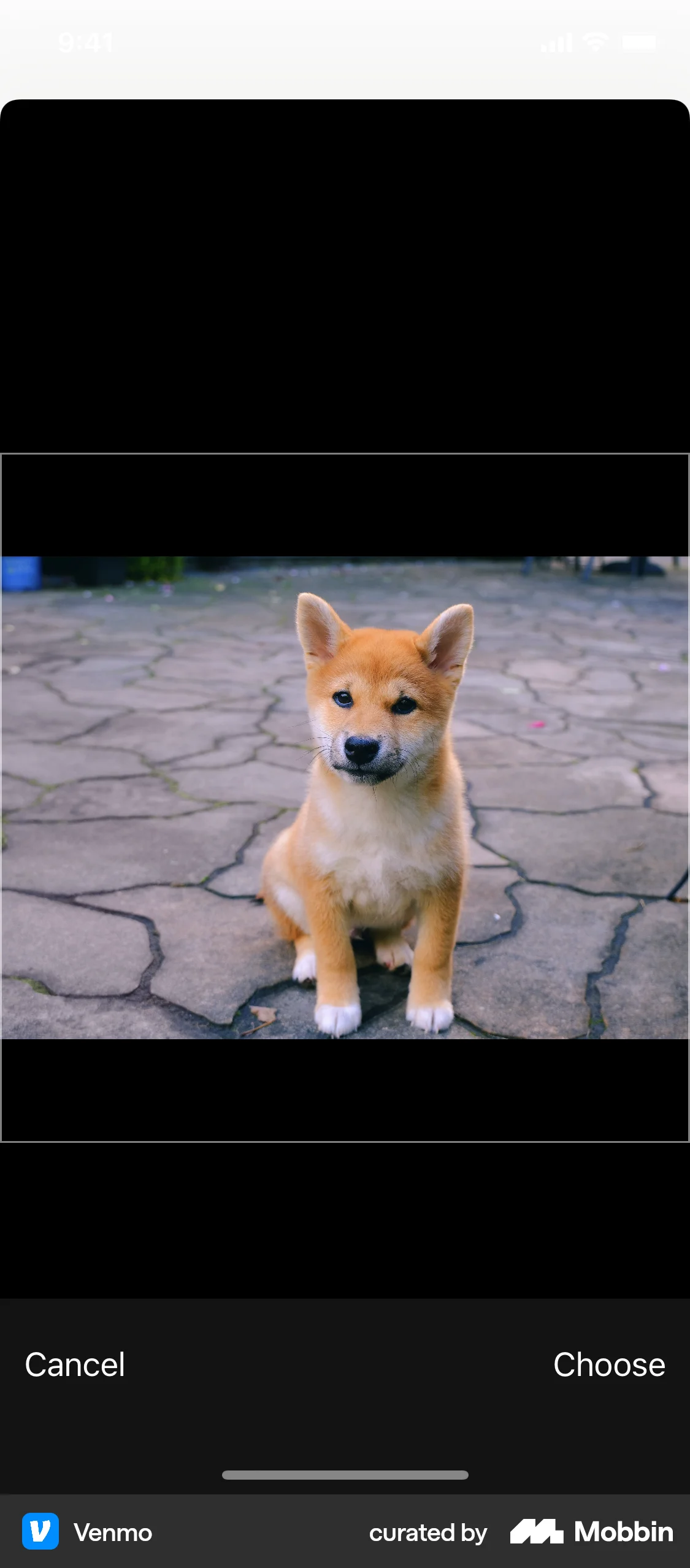 Venmo iOS Media Editor screen