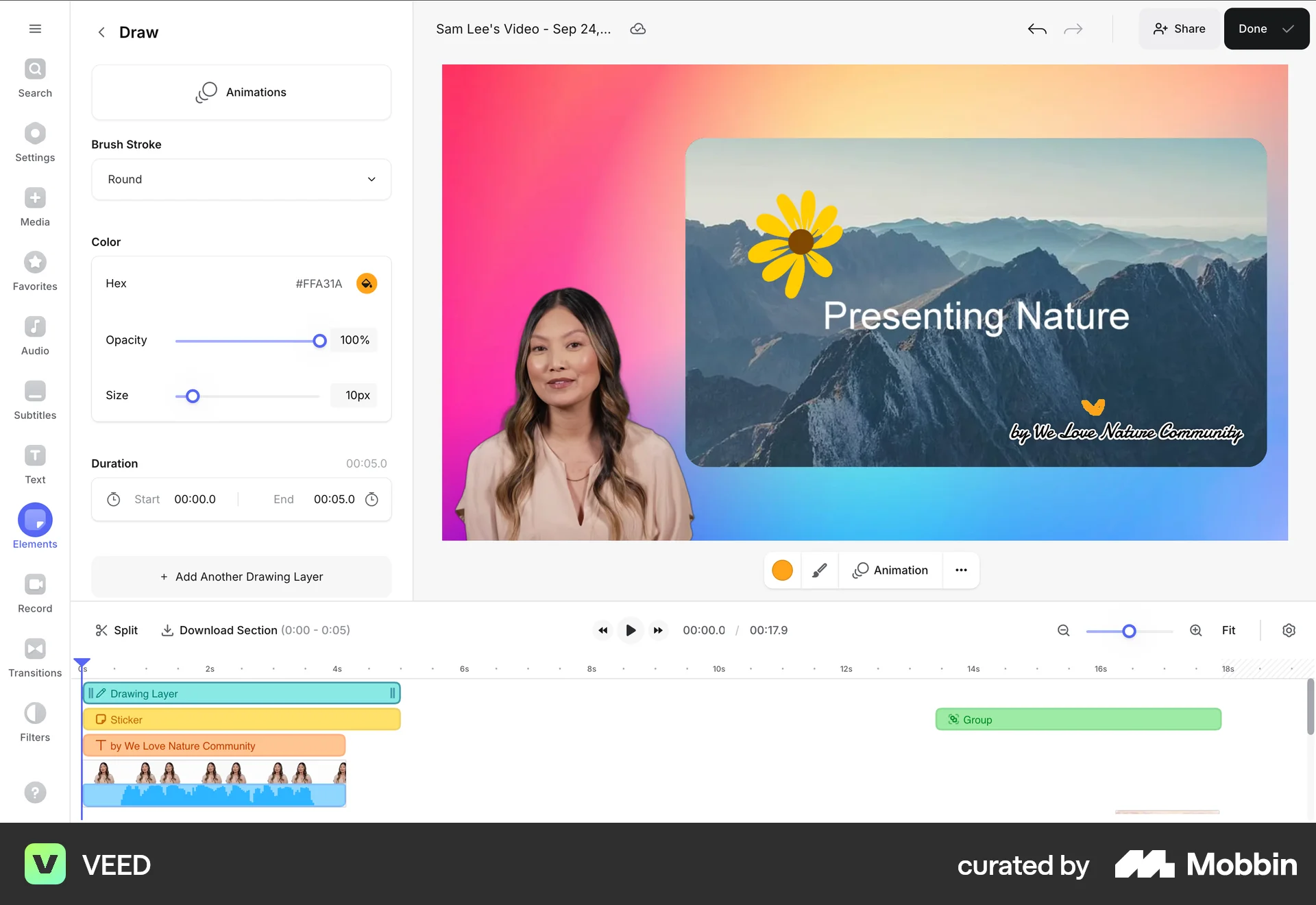 VEED Web Draw & Annotate screen