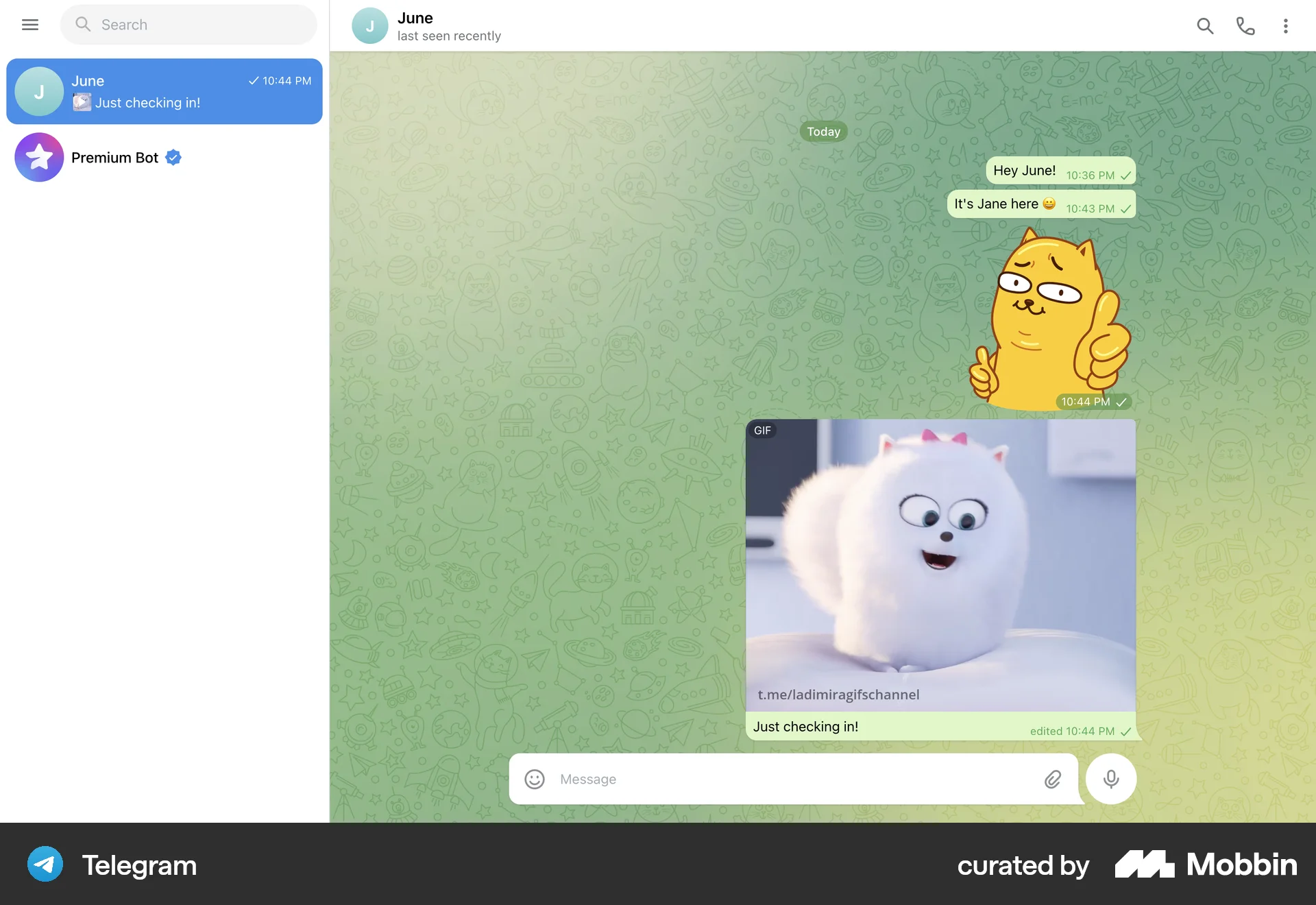 Telegram Web Chat Detail screen