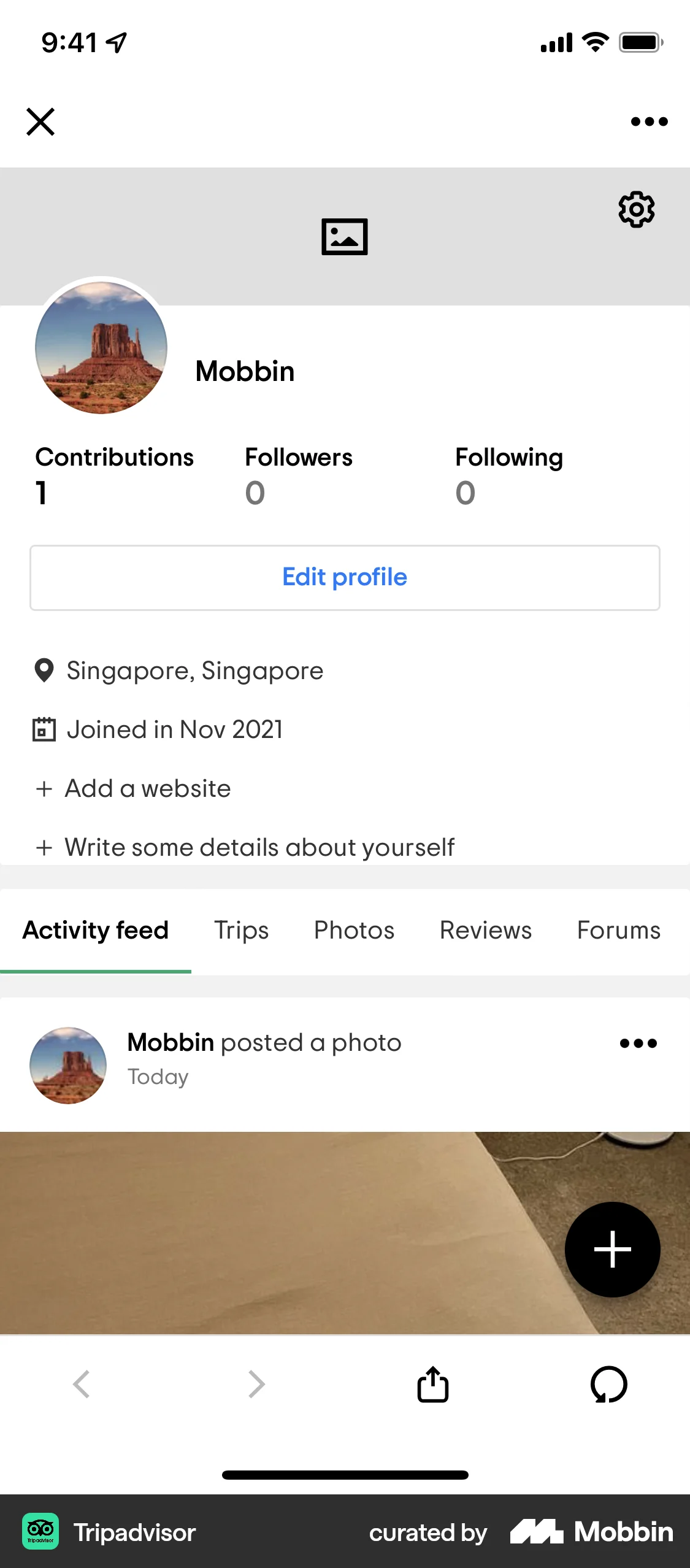 Tripadvisor iOS Browser screen