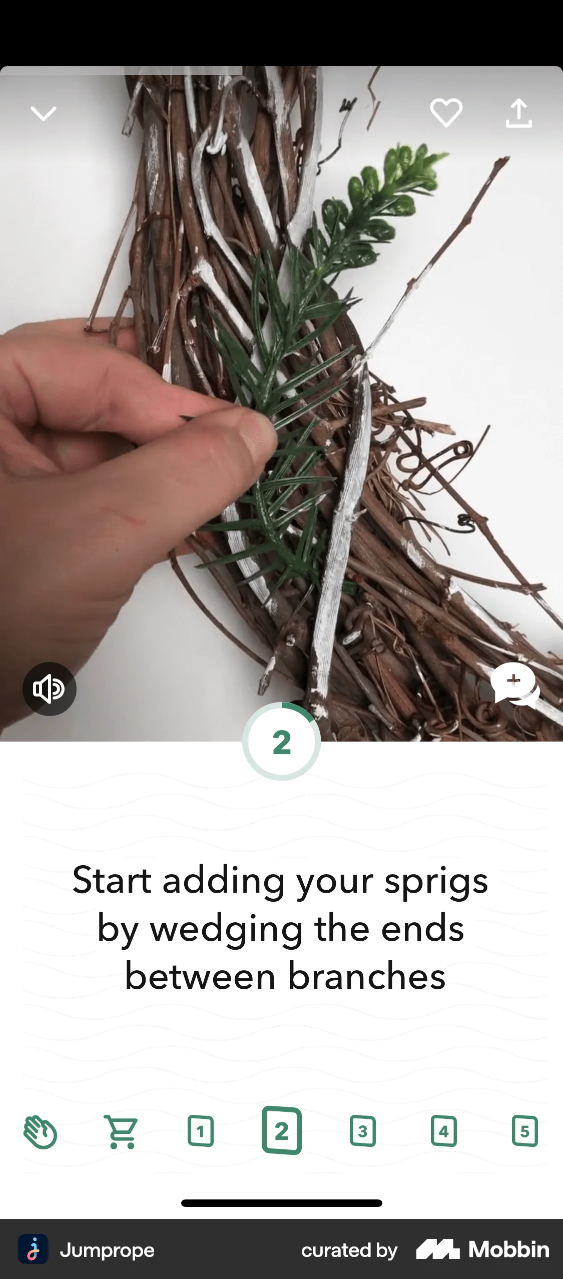 Jumprope iOS Photo & Video App screen