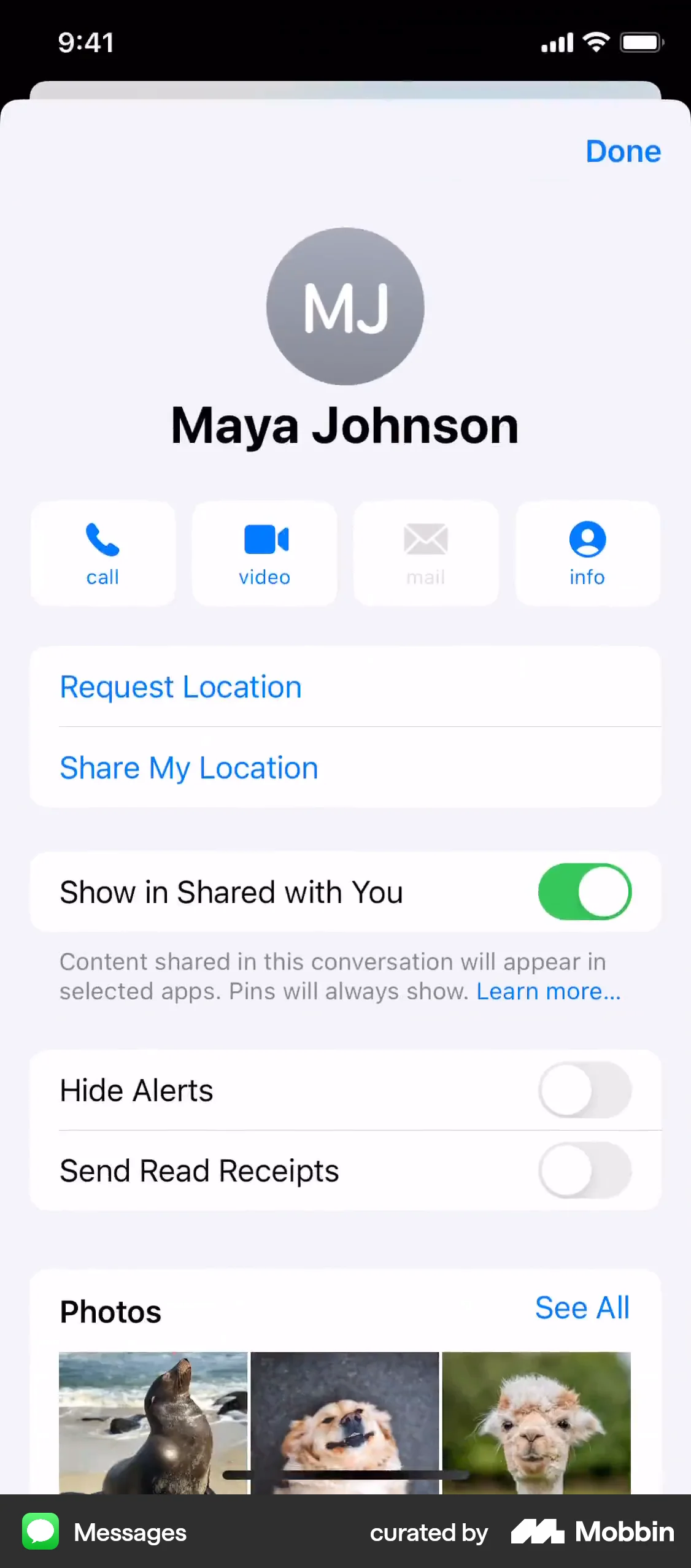 Messages iOS User / Group Profile screen