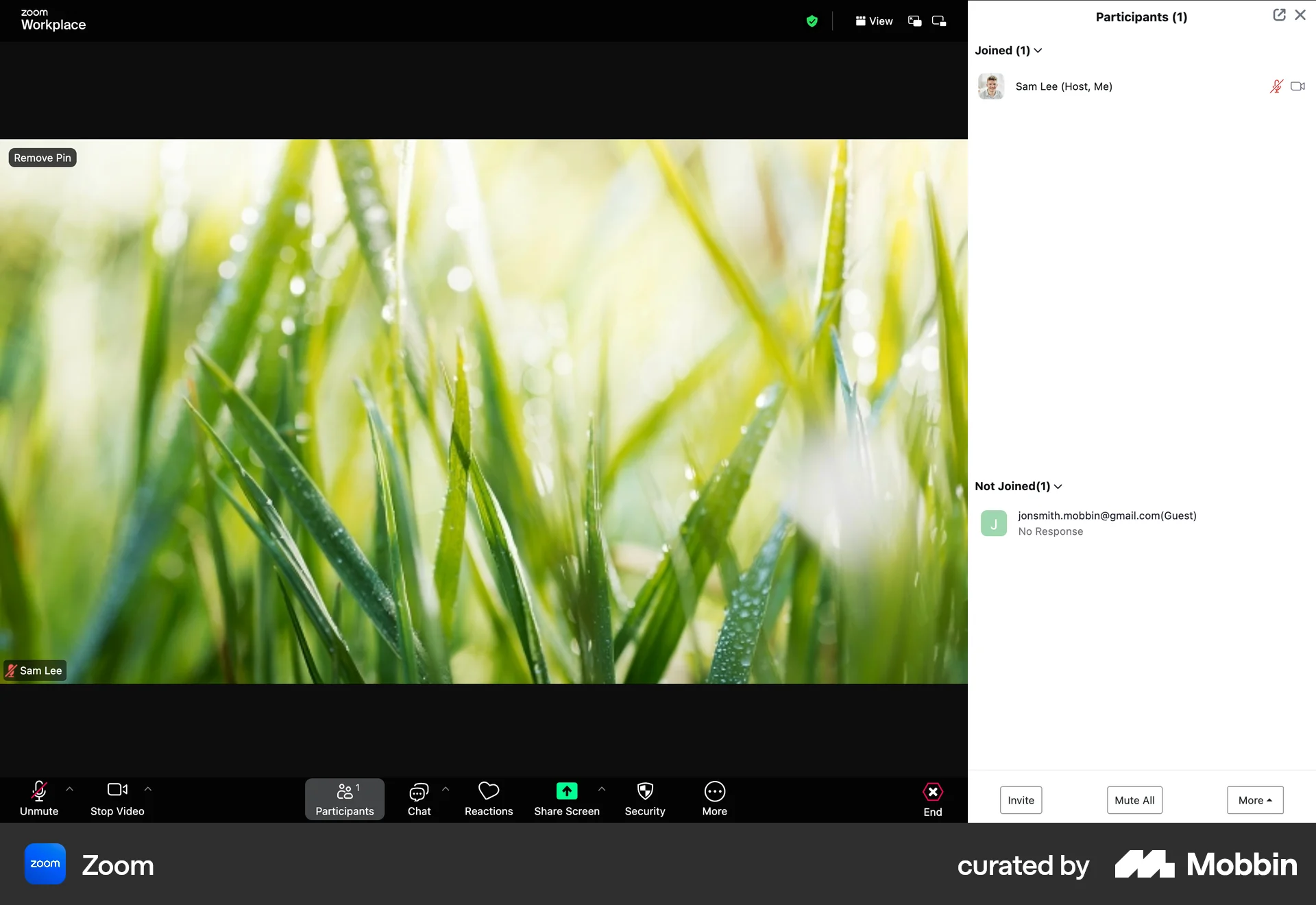 Zoom Web Favorite & Pin screen