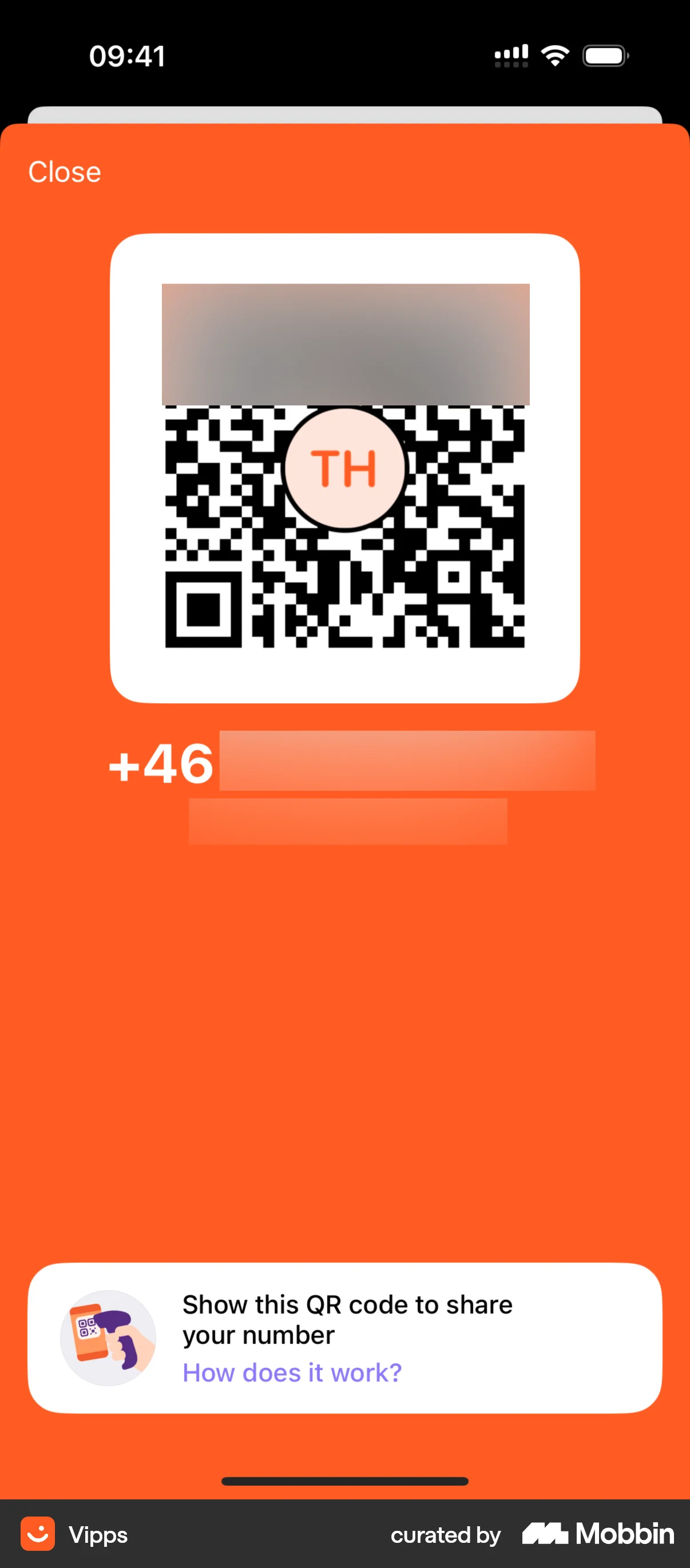 Vipps iOS Other Content screen