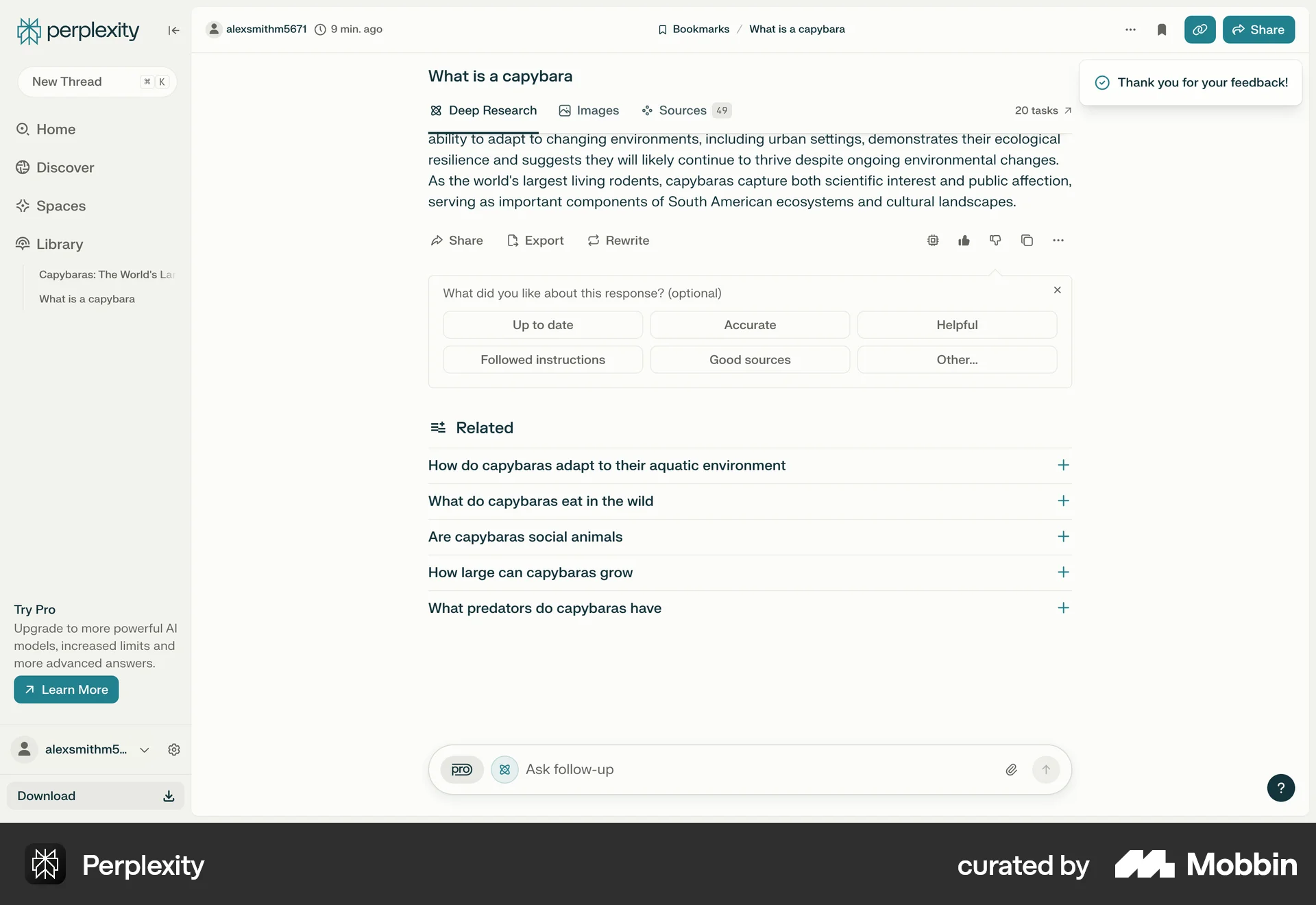 Perplexity Web screen containing Rating Control UI element