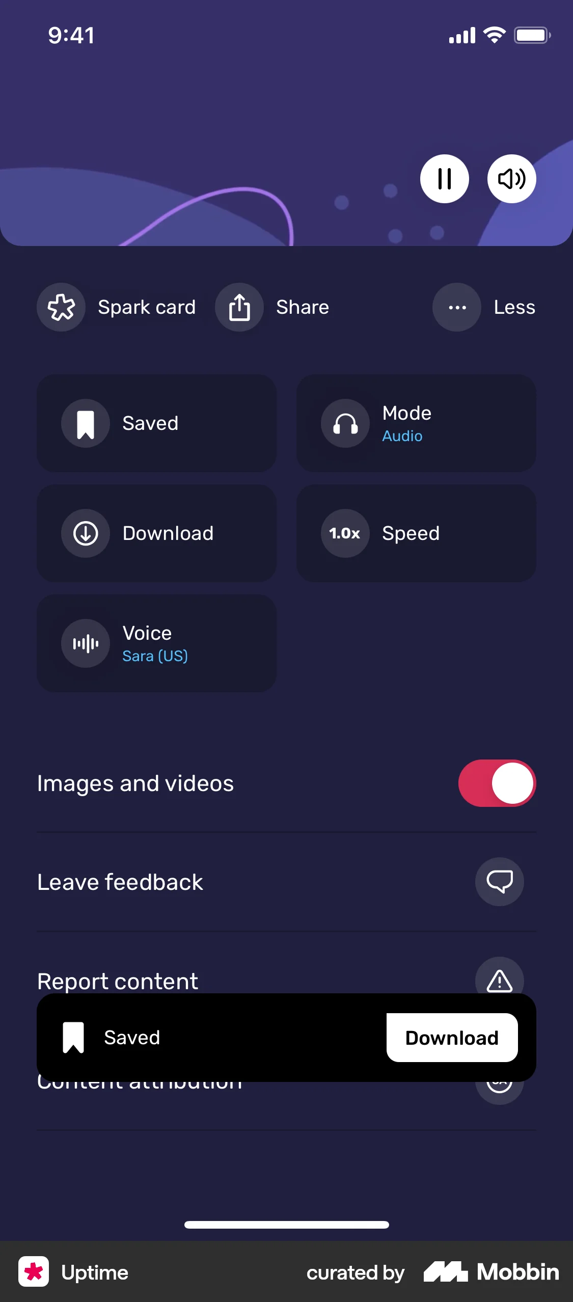 Uptime iOS Save screen