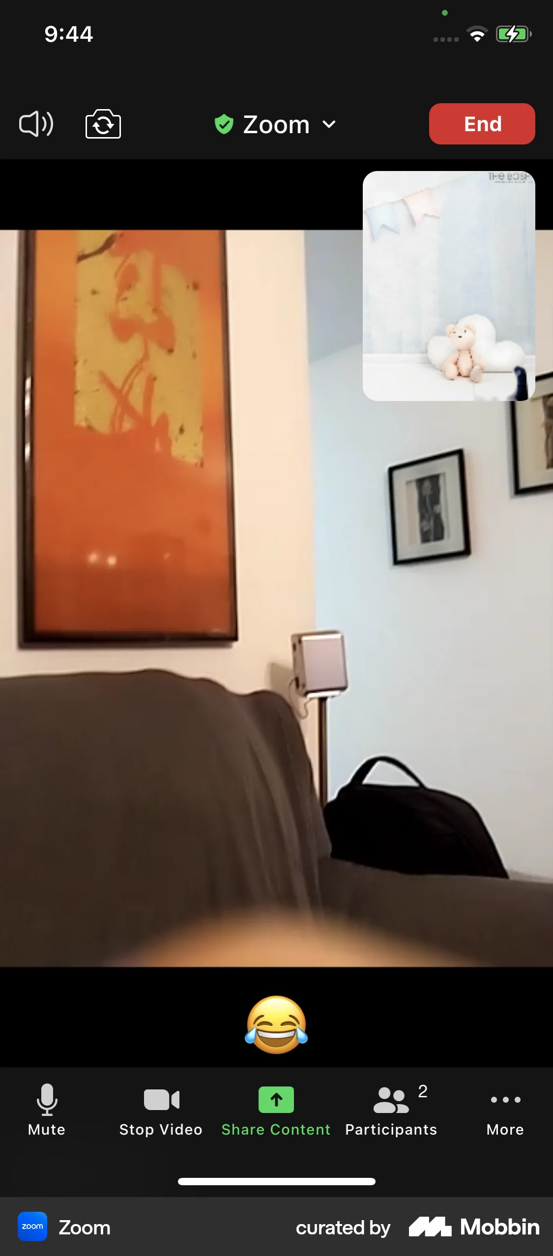 Zoom iOS Call screen