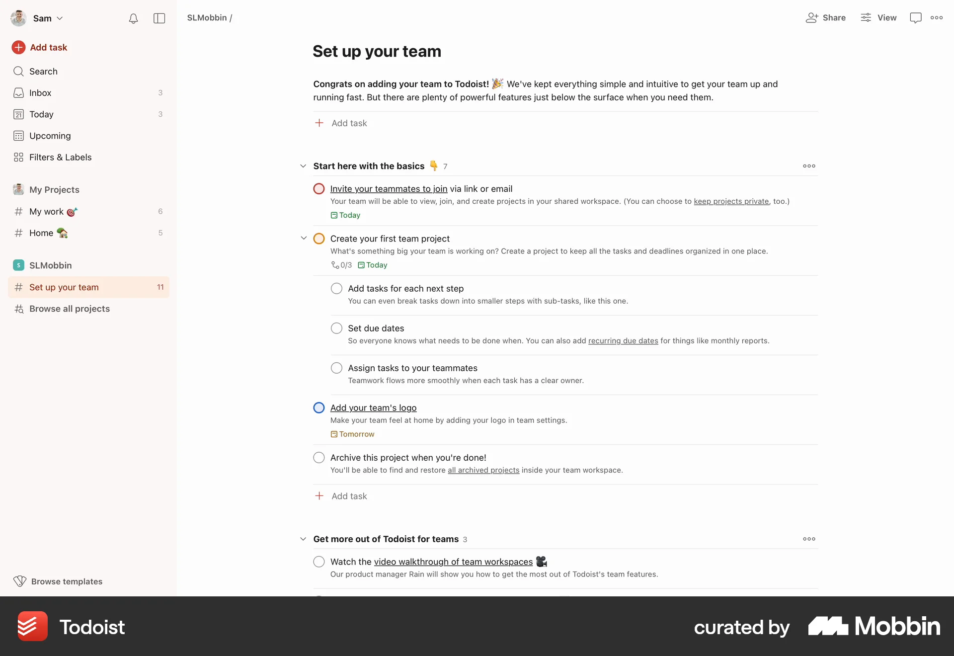Todoist Web Note Detail screen