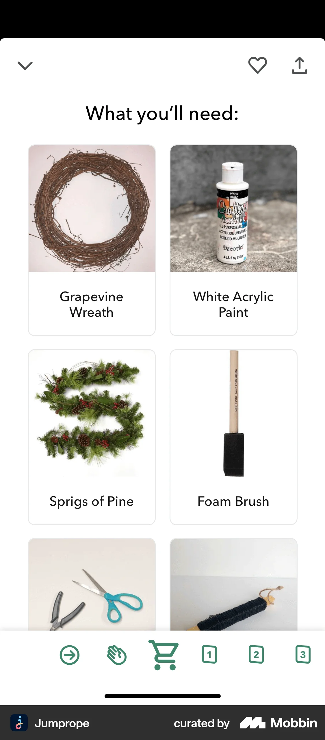 Jumprope iOS Photo & Video App screen