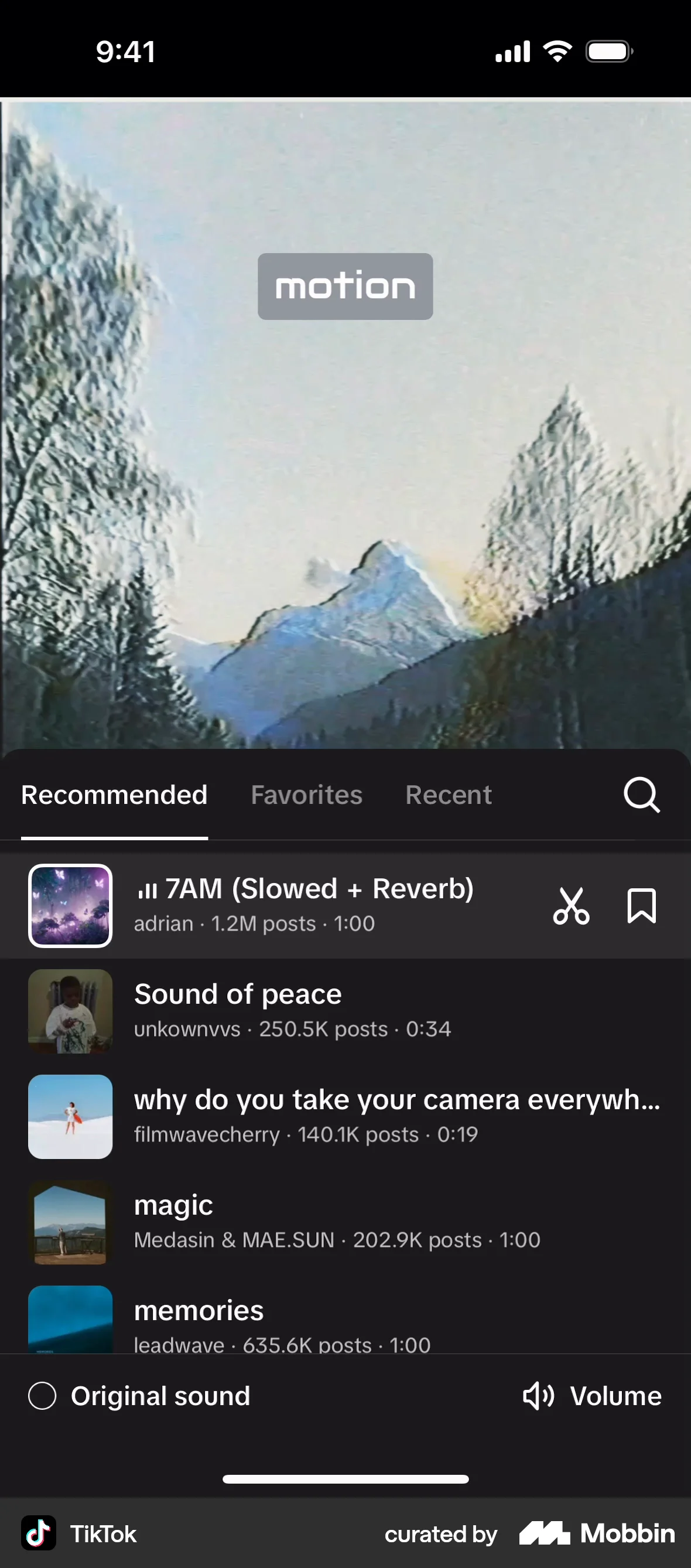 TikTok iOS Audio Player screen