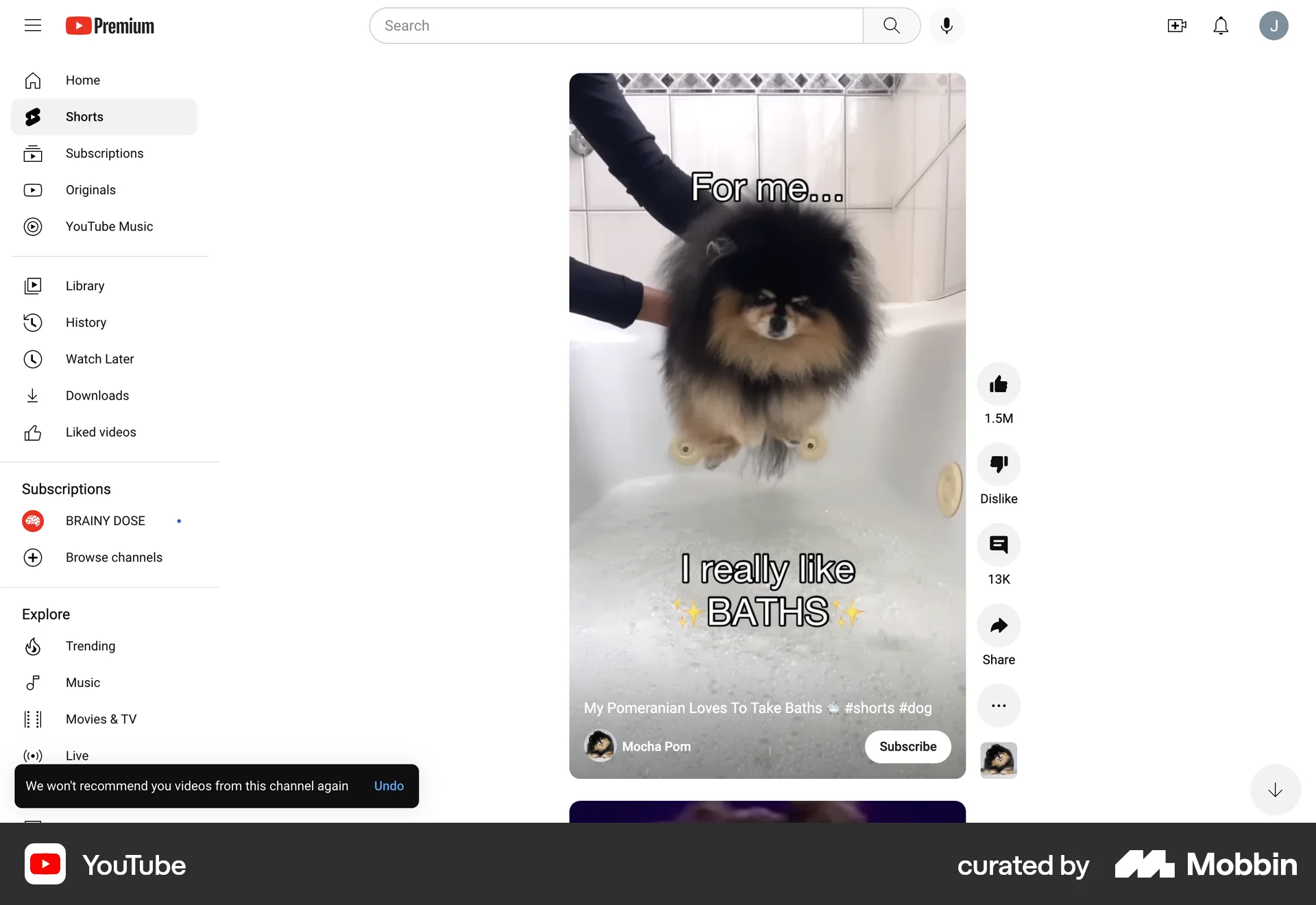 YouTube Web Ban & Block screen