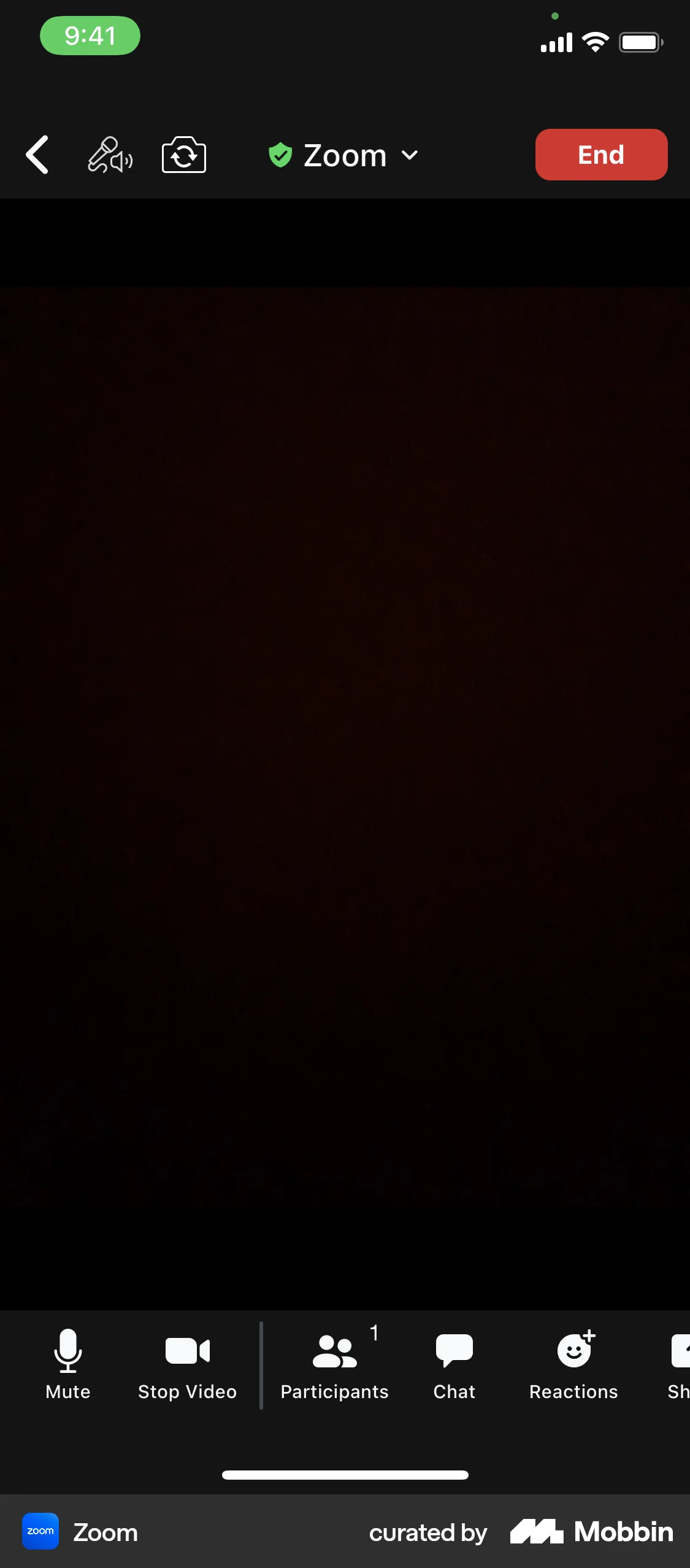 Zoom iOS Call screen