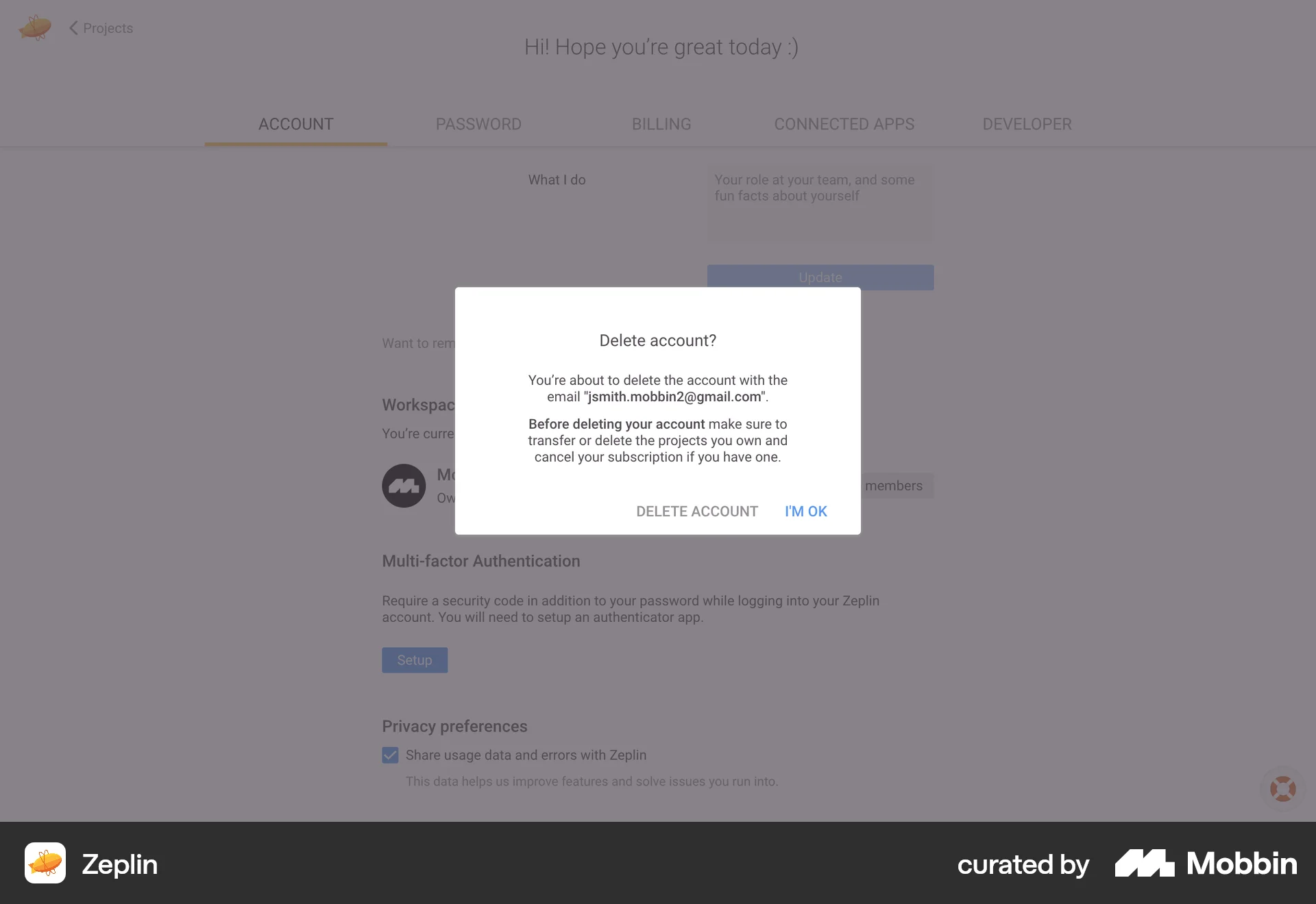 Zeplin Web Delete & Deactivate Account screen