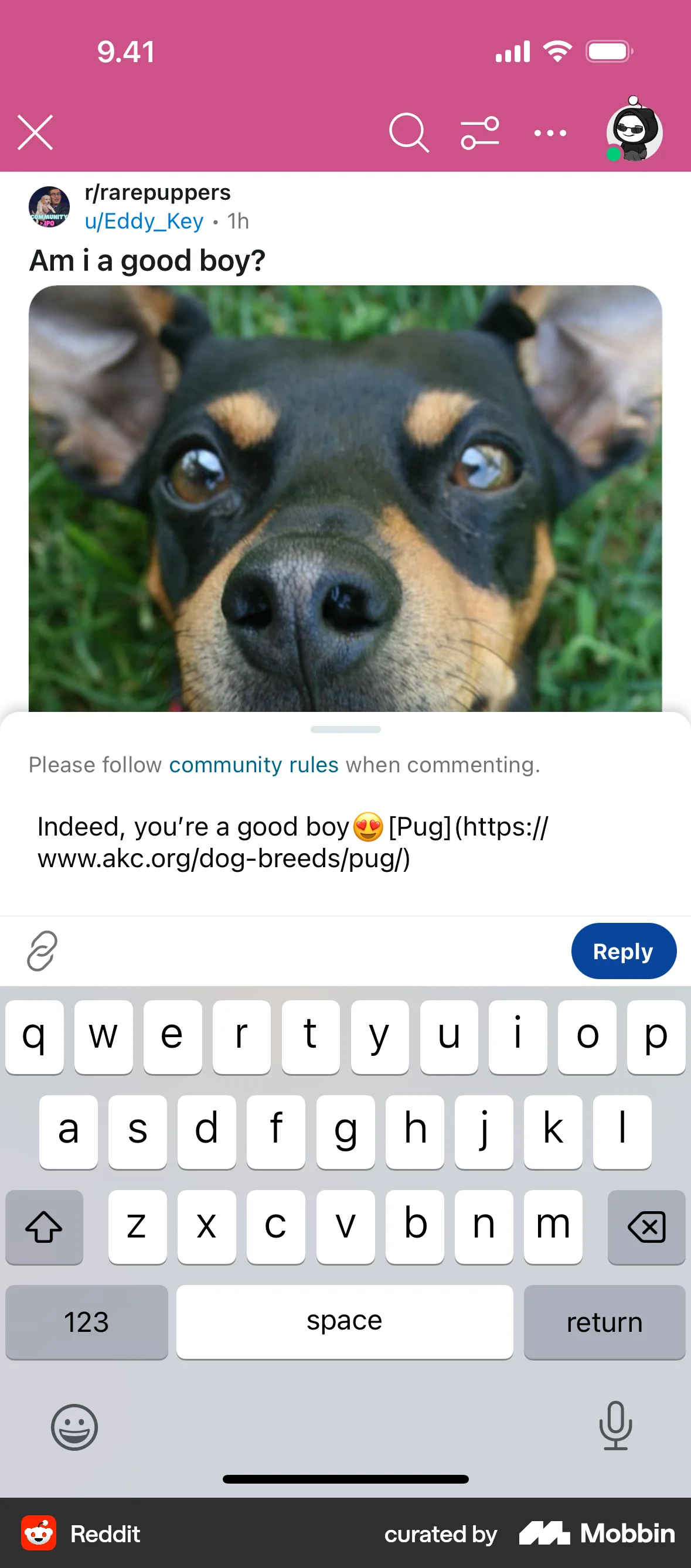 Reddit iOS Comments screen