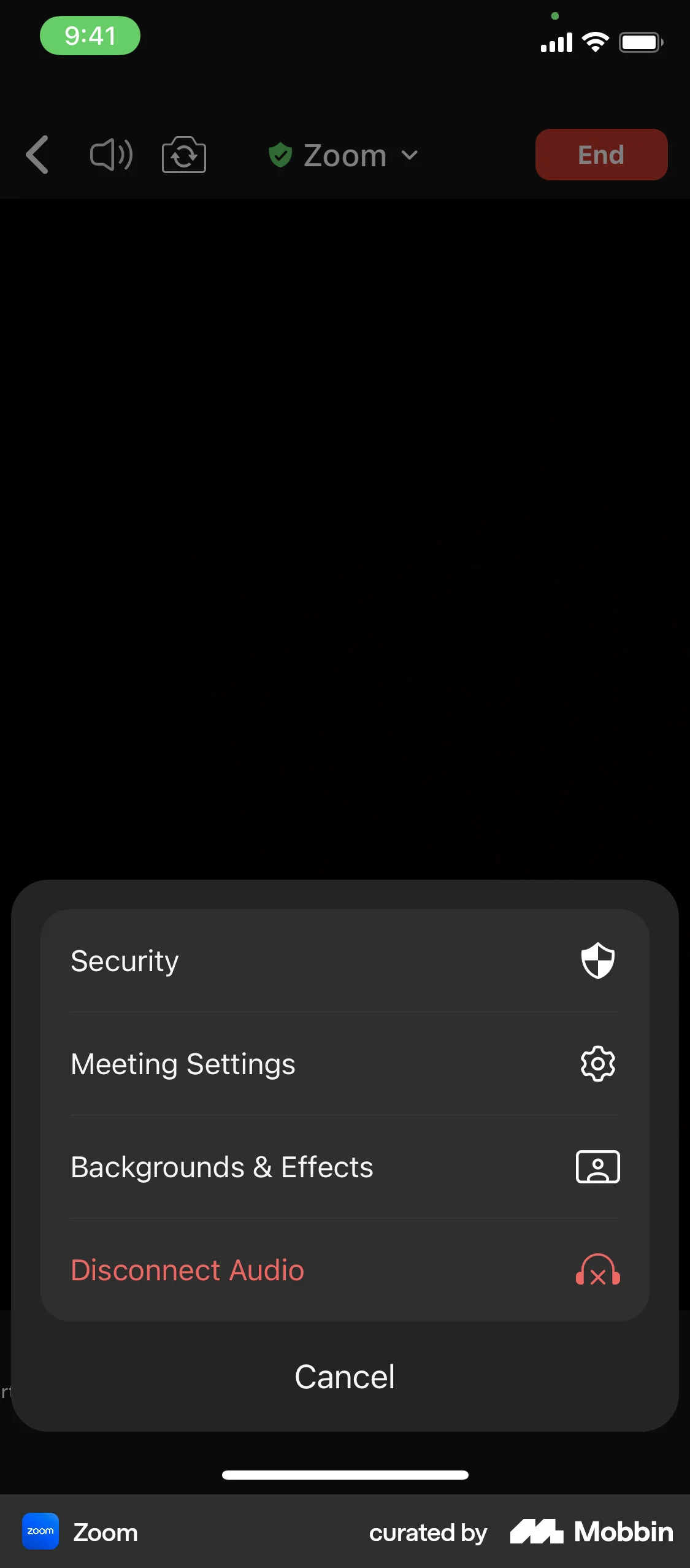 Zoom iOS screen containing Action Sheet UI element