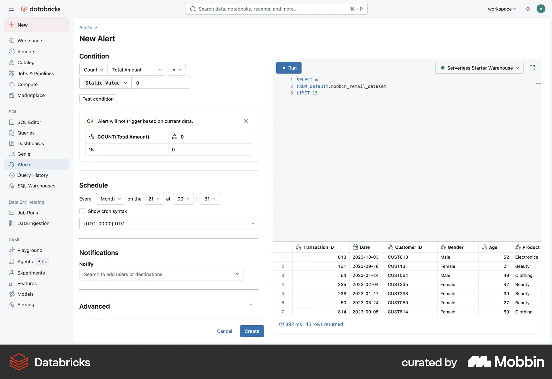 Databricks Web Set screen