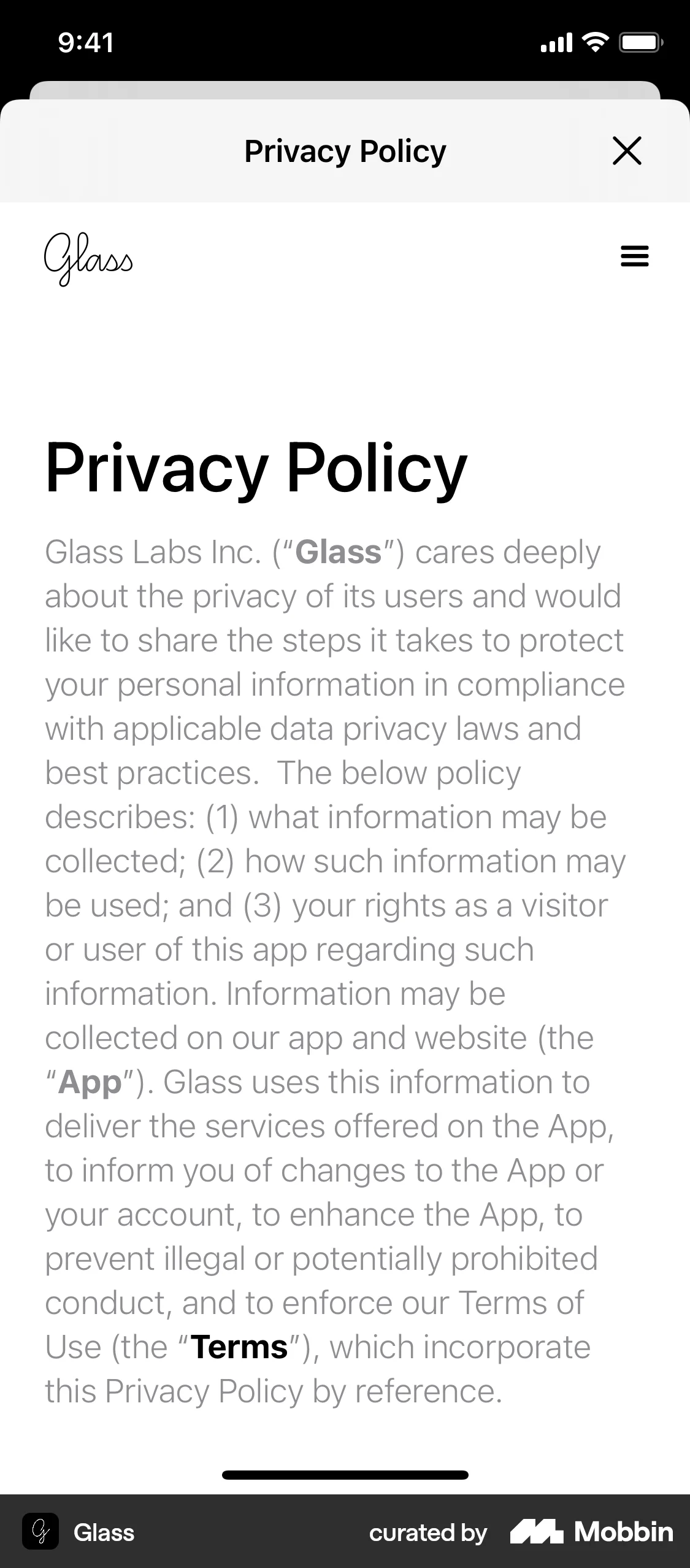 Glass iOS Privacy Policy screen