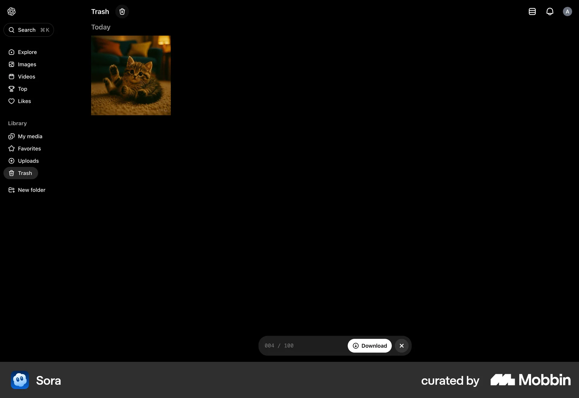 Sora Web Trash & Archive screen