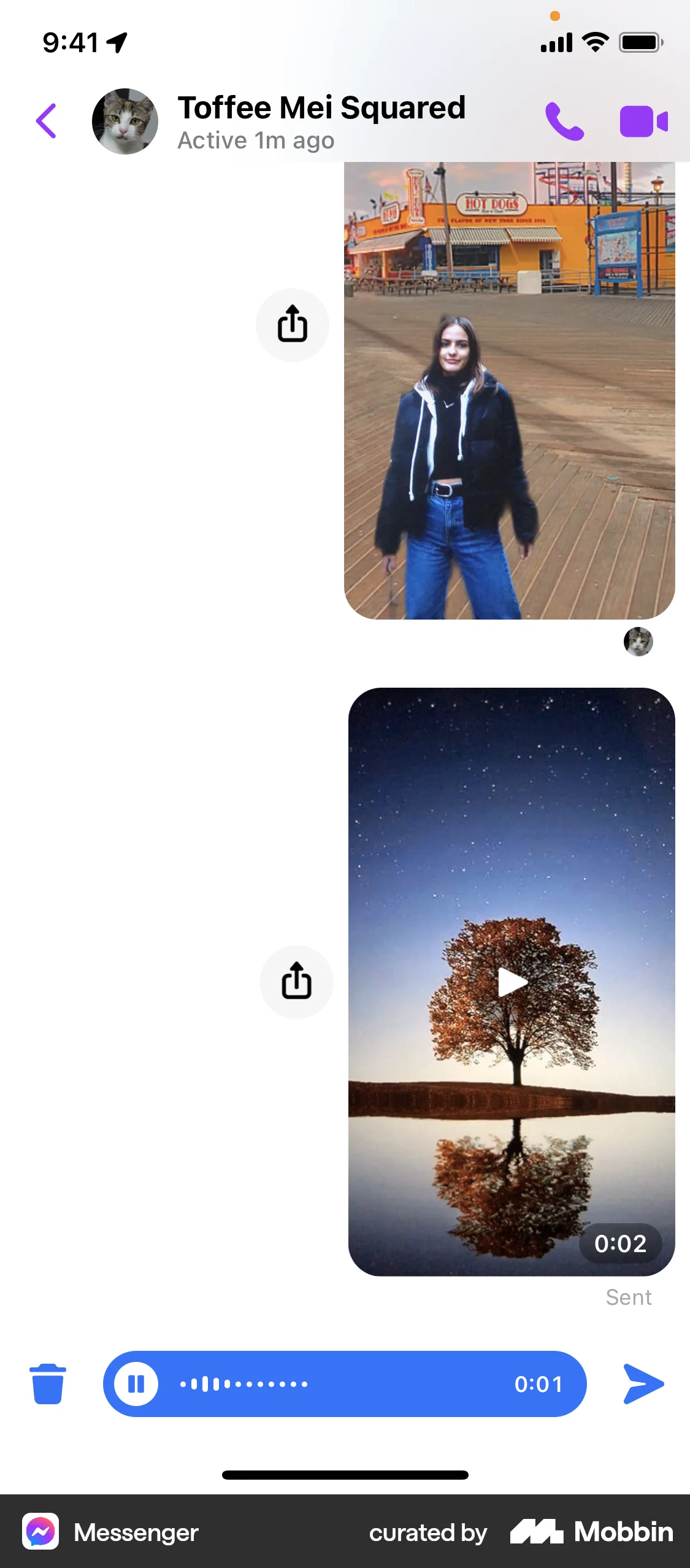 Messenger iOS Audio & Video Recorder screen