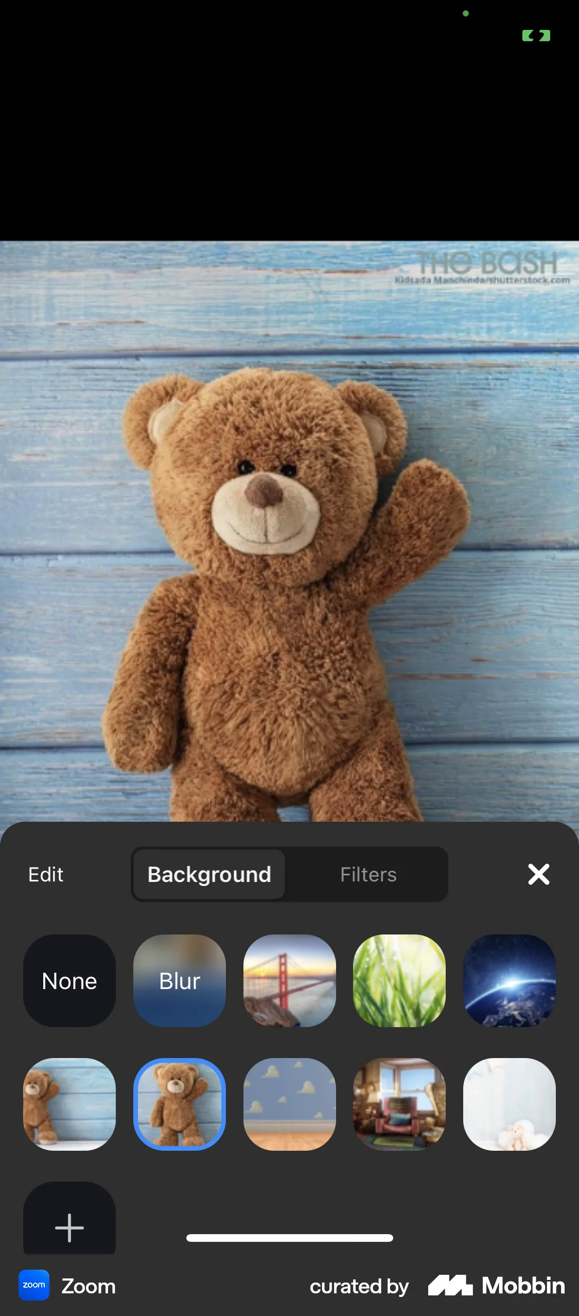 Zoom iOS Filters & Stickers screen