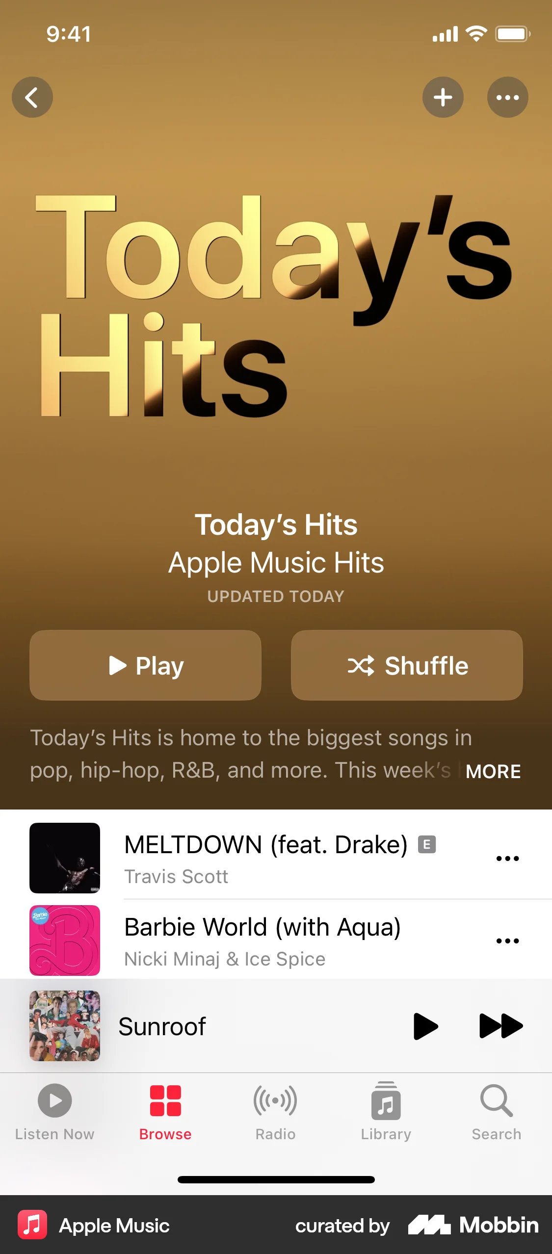 Apple Music iOS Playlists screen