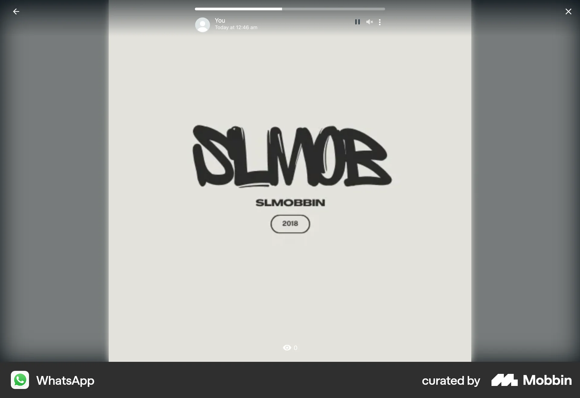 WhatsApp Web Stories screen