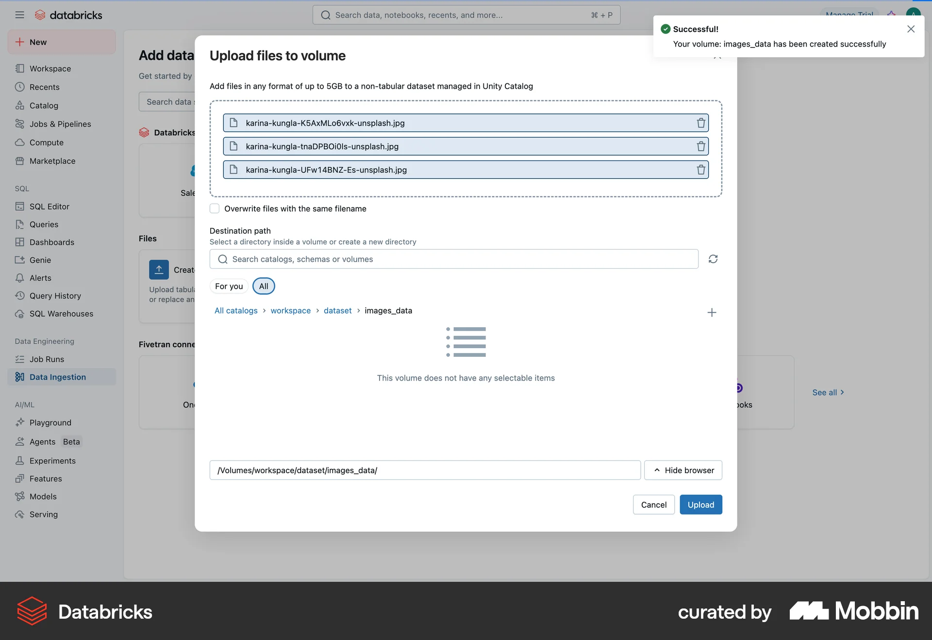 Databricks Web Acknowledgement & Success screen