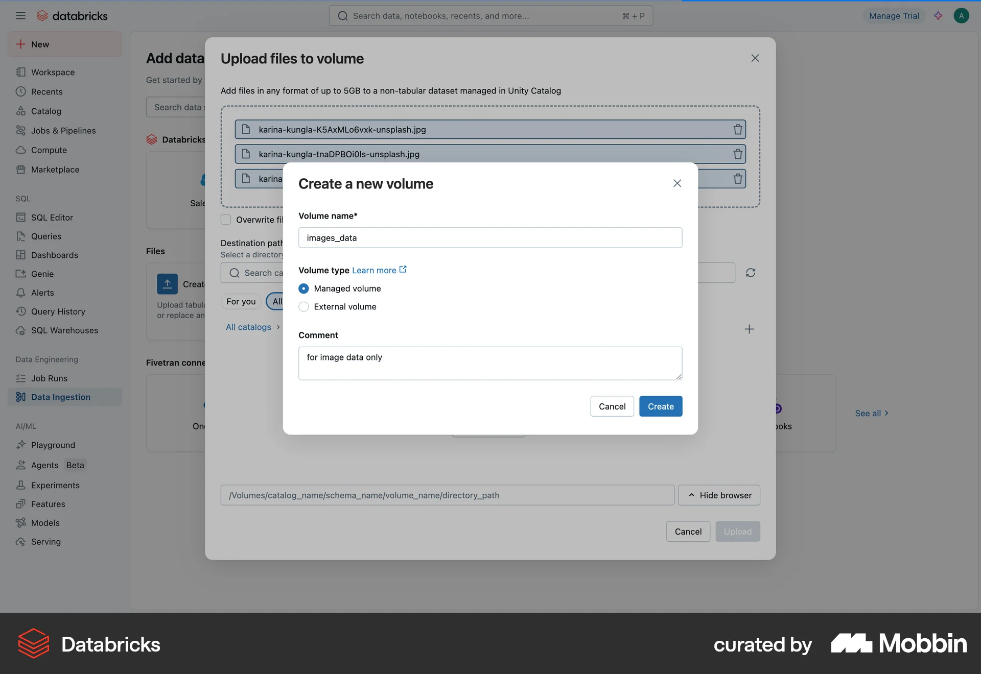 Databricks Web screen containing Radio Button UI element