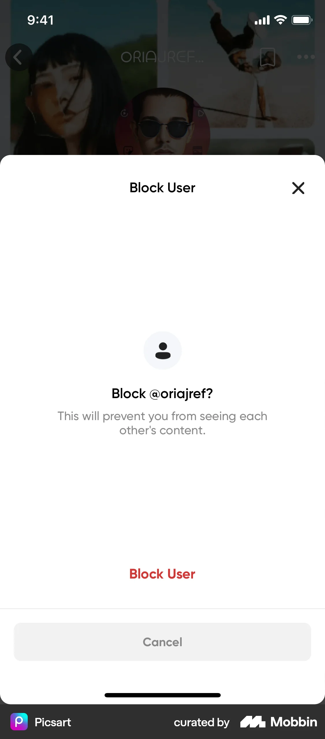Picsart iOS Ban & Block screen