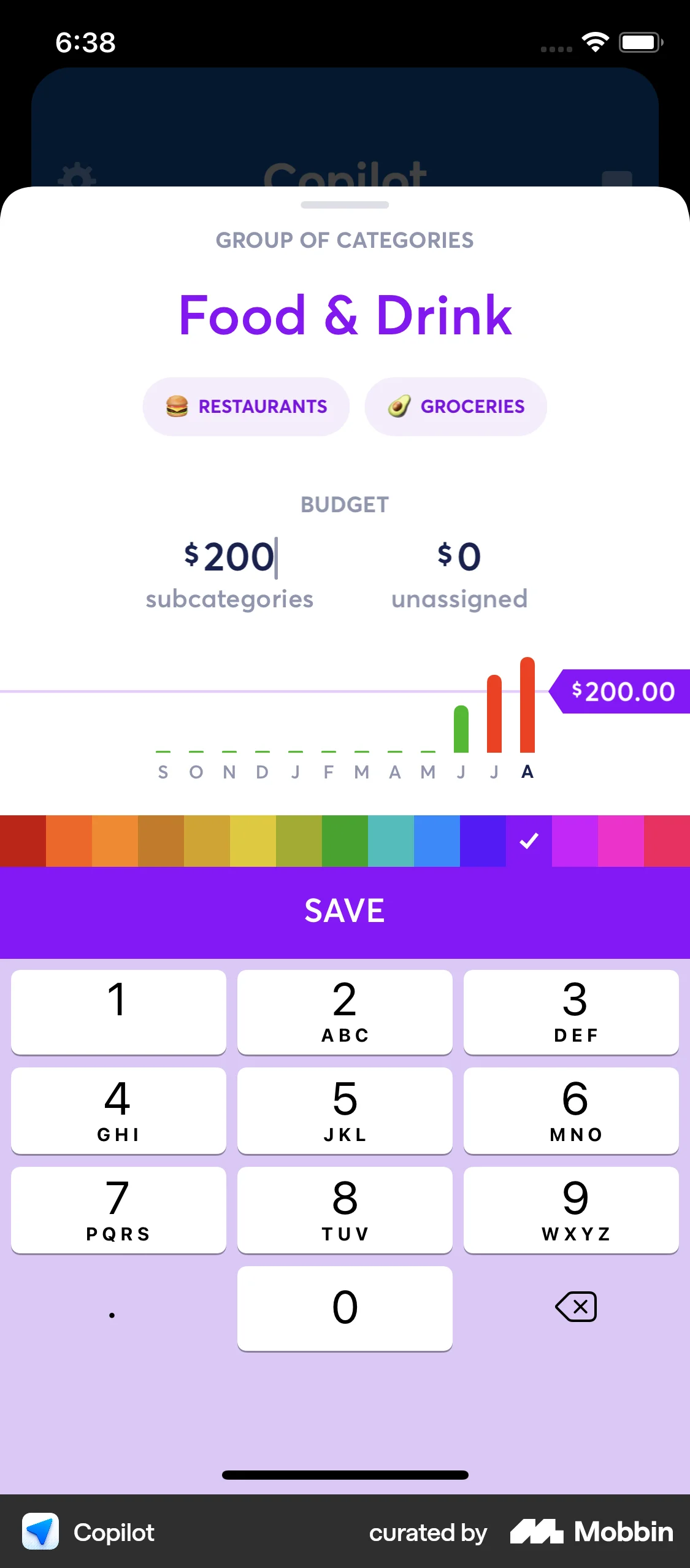Copilot iOS Charts screen